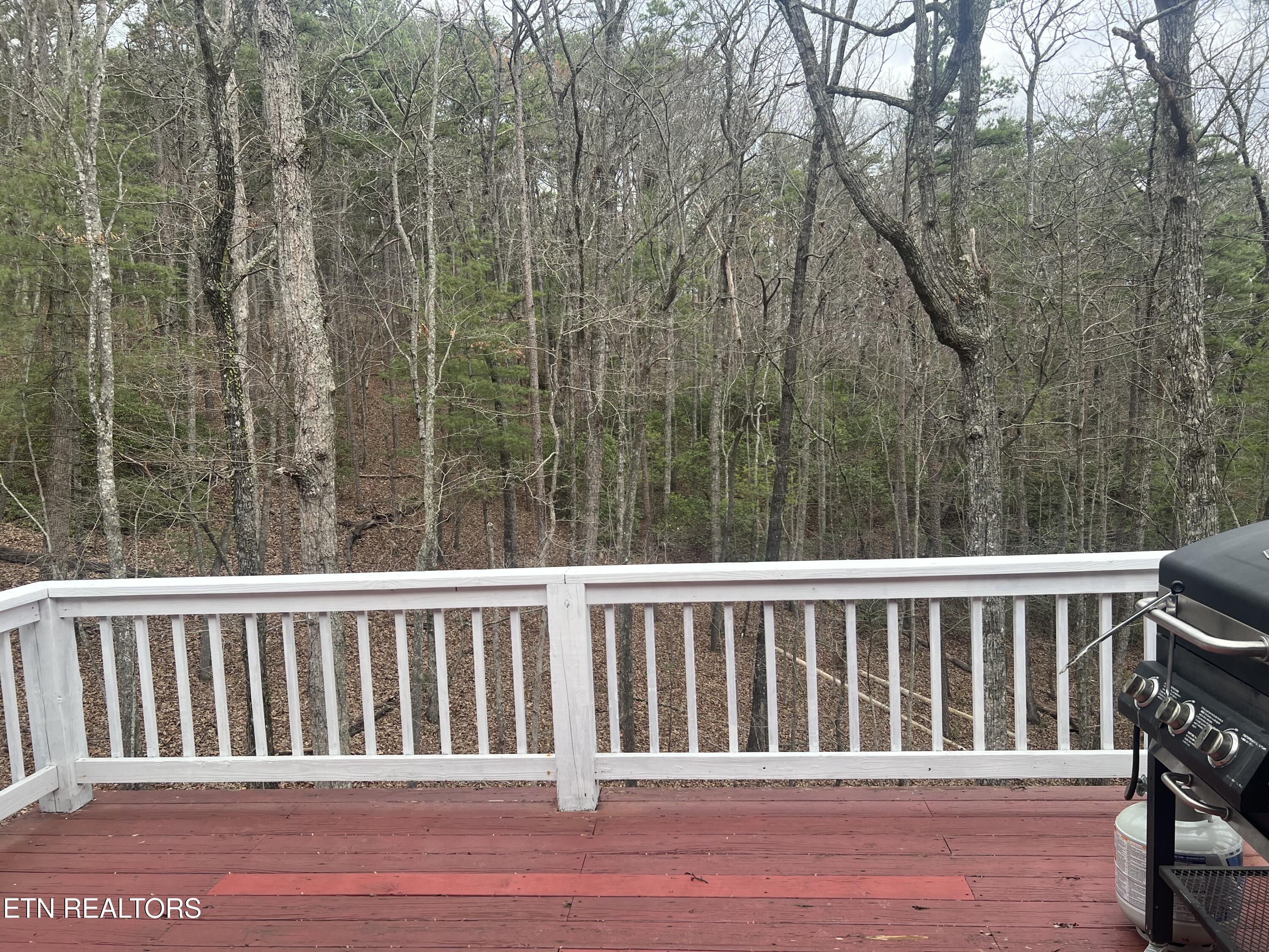 203 Tall Pine Circle Tellico Plains TN 37385