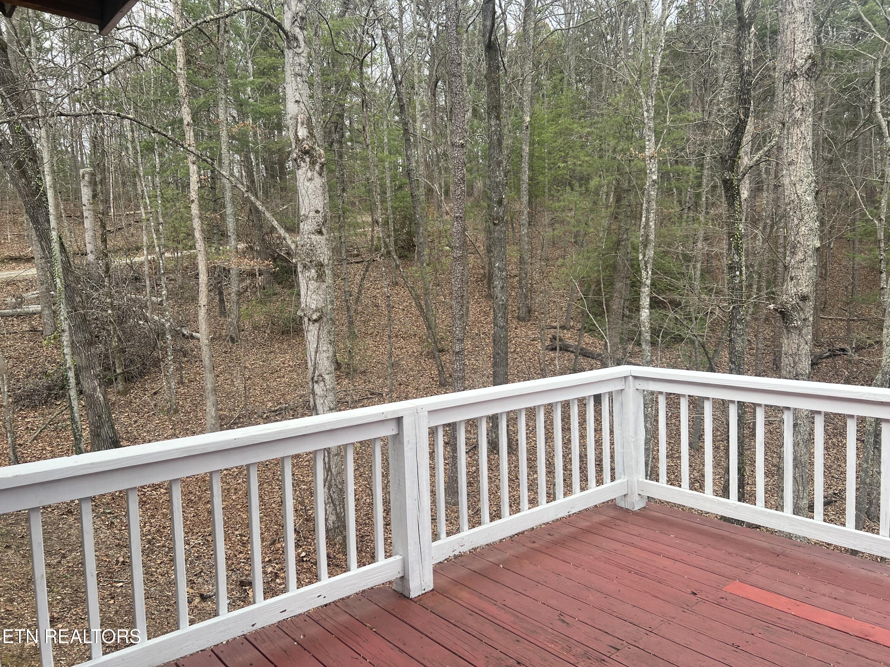 203 Tall Pine Circle Tellico Plains TN 37385