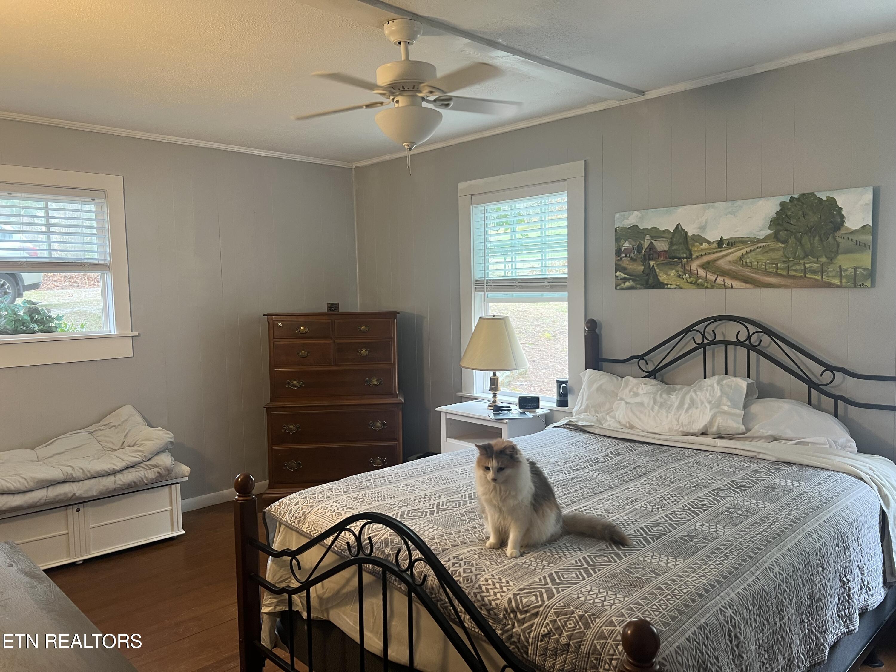 203 Tall Pine Circle Tellico Plains TN 37385