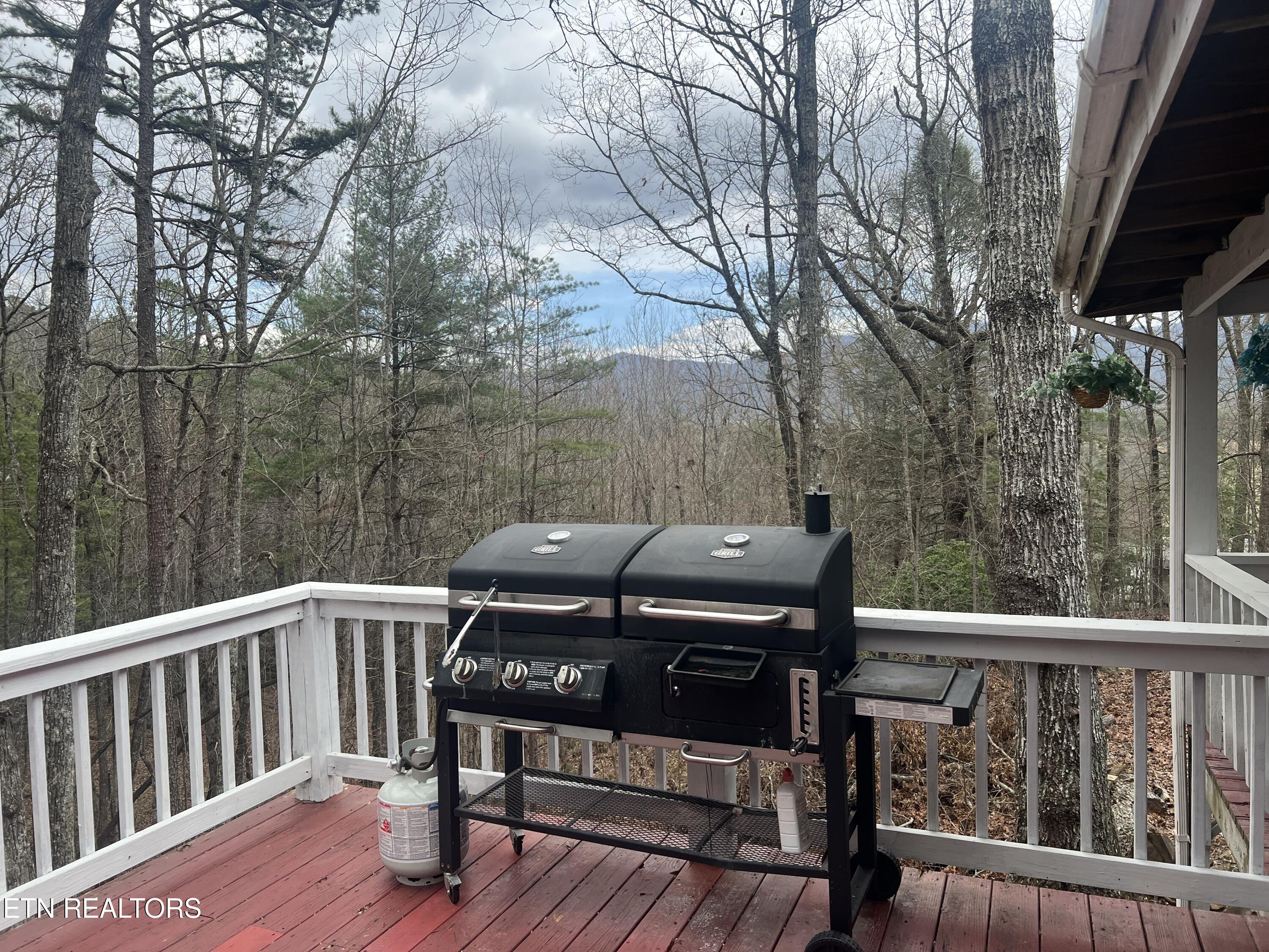203 Tall Pine Circle Tellico Plains TN 37385
