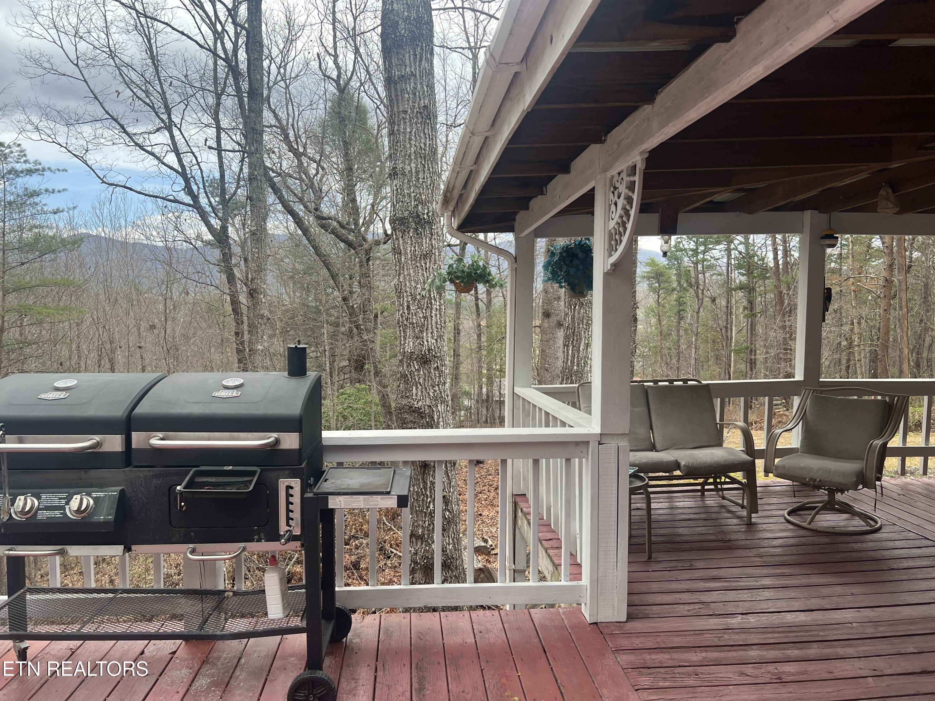 203 Tall Pine Circle Tellico Plains TN 37385