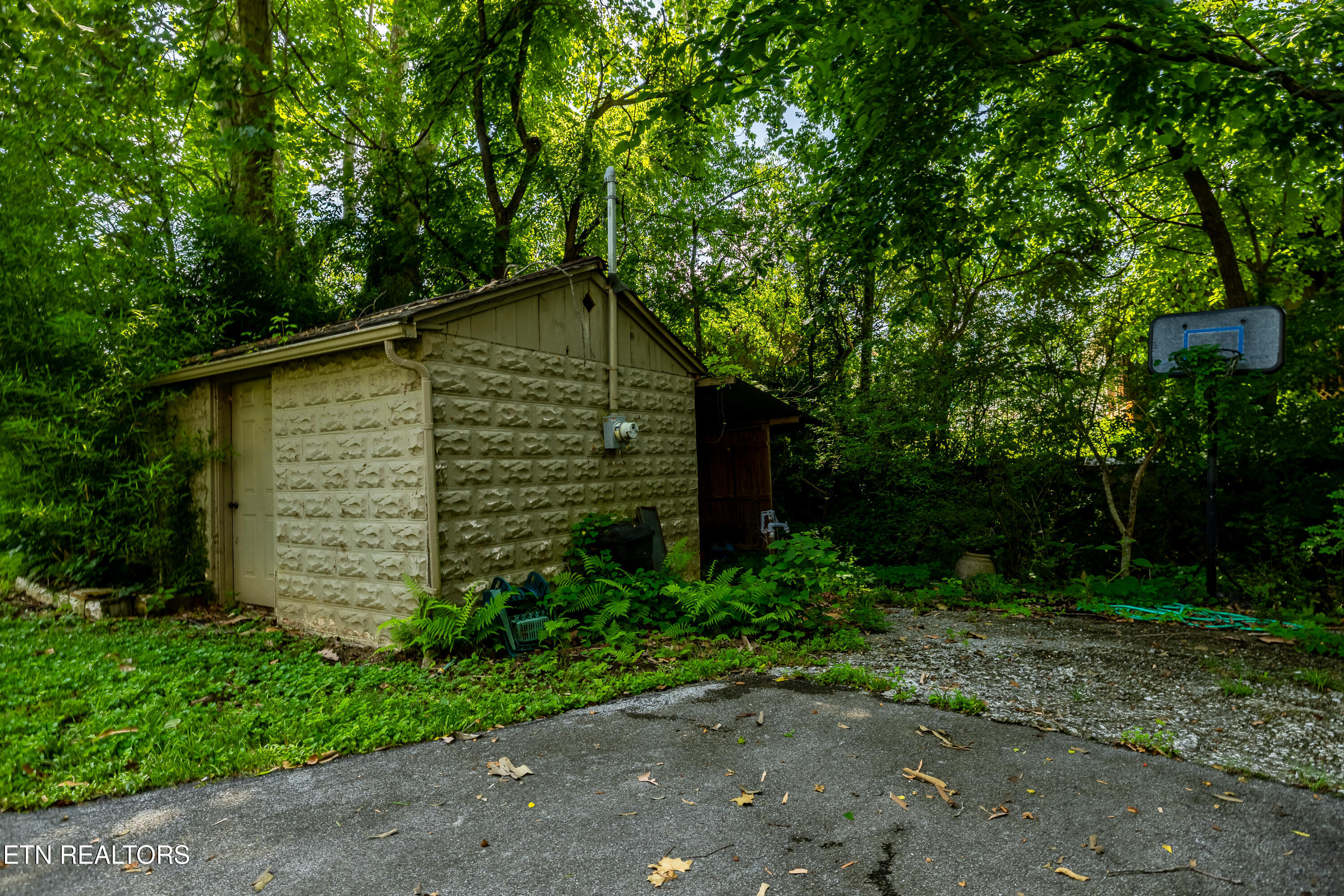 8229 E Lamar Alexander Parkway Townsend TN 37882