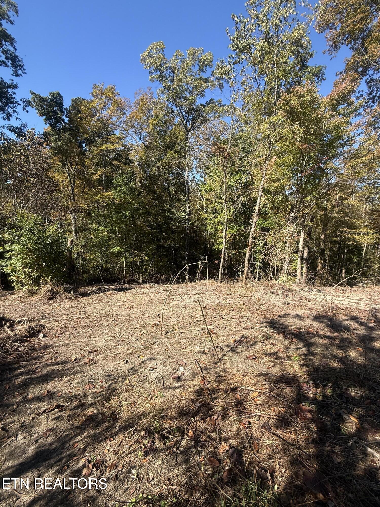 189 Irwin Salyers Lane Lafollette TN 37766