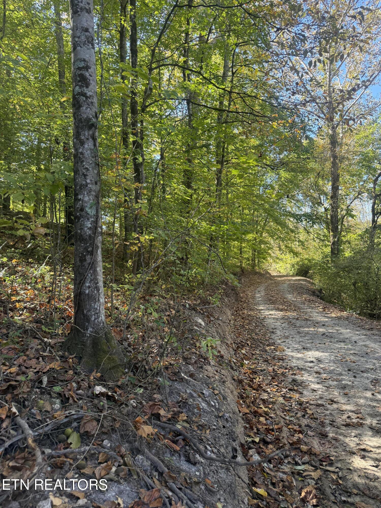 189 Irwin Salyers Lane Lafollette TN 37766