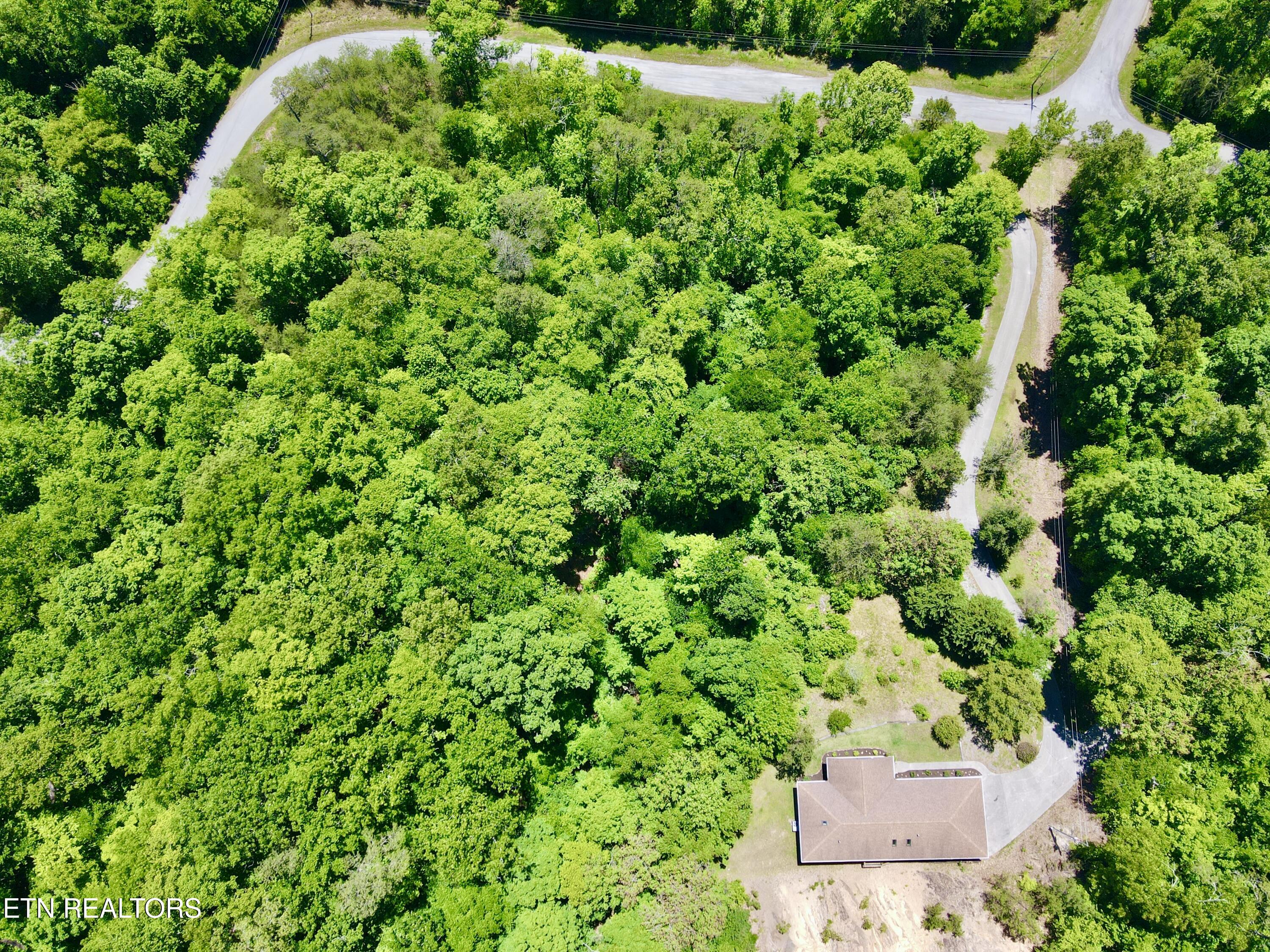 454 Wildcat Hollow Road New Tazewell TN 37825