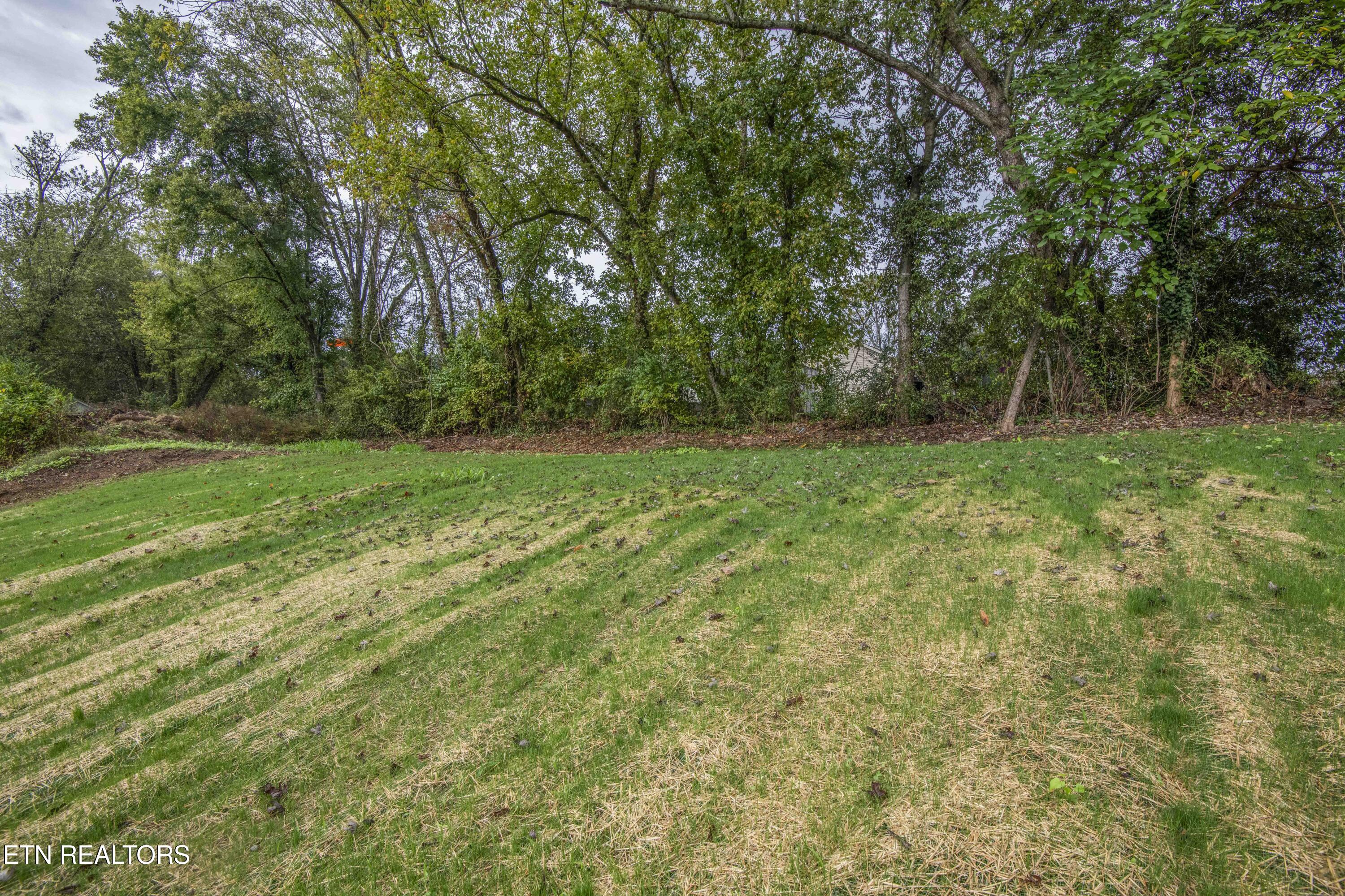914 Mcadoo Street Clinton TN 37716