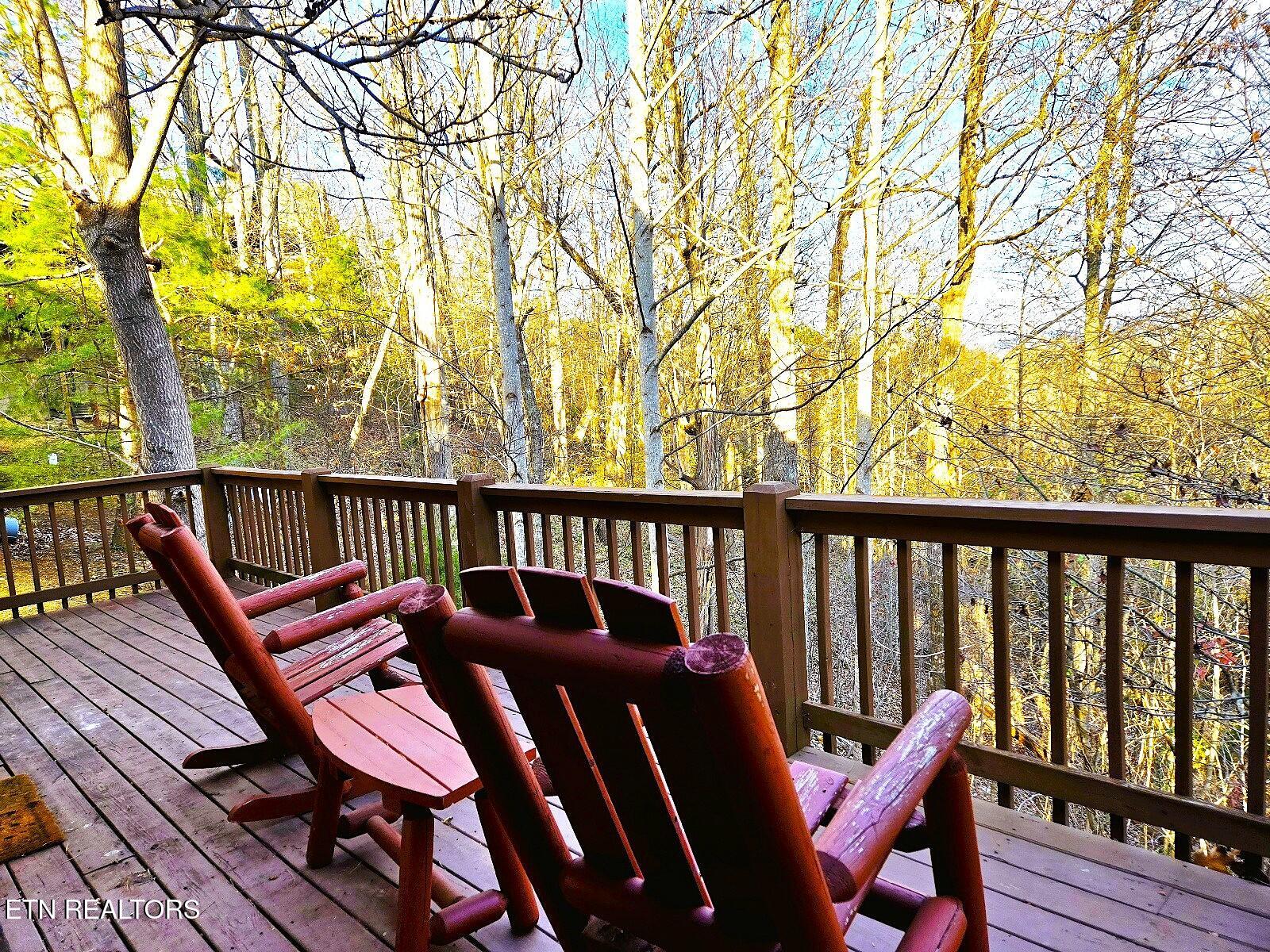 1529 Boo Boos Way Sevierville TN 37862