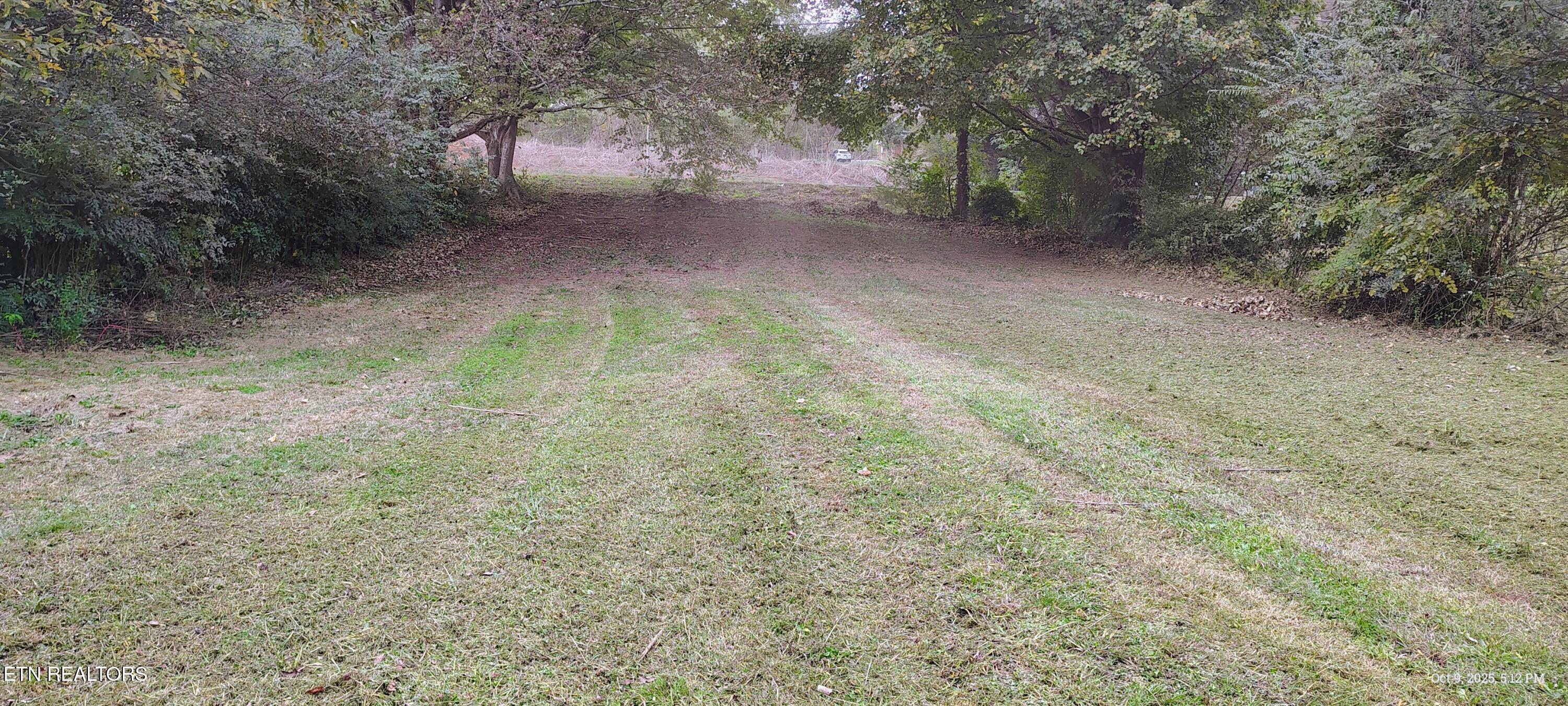 206 County Road 738 Riceville TN 37370