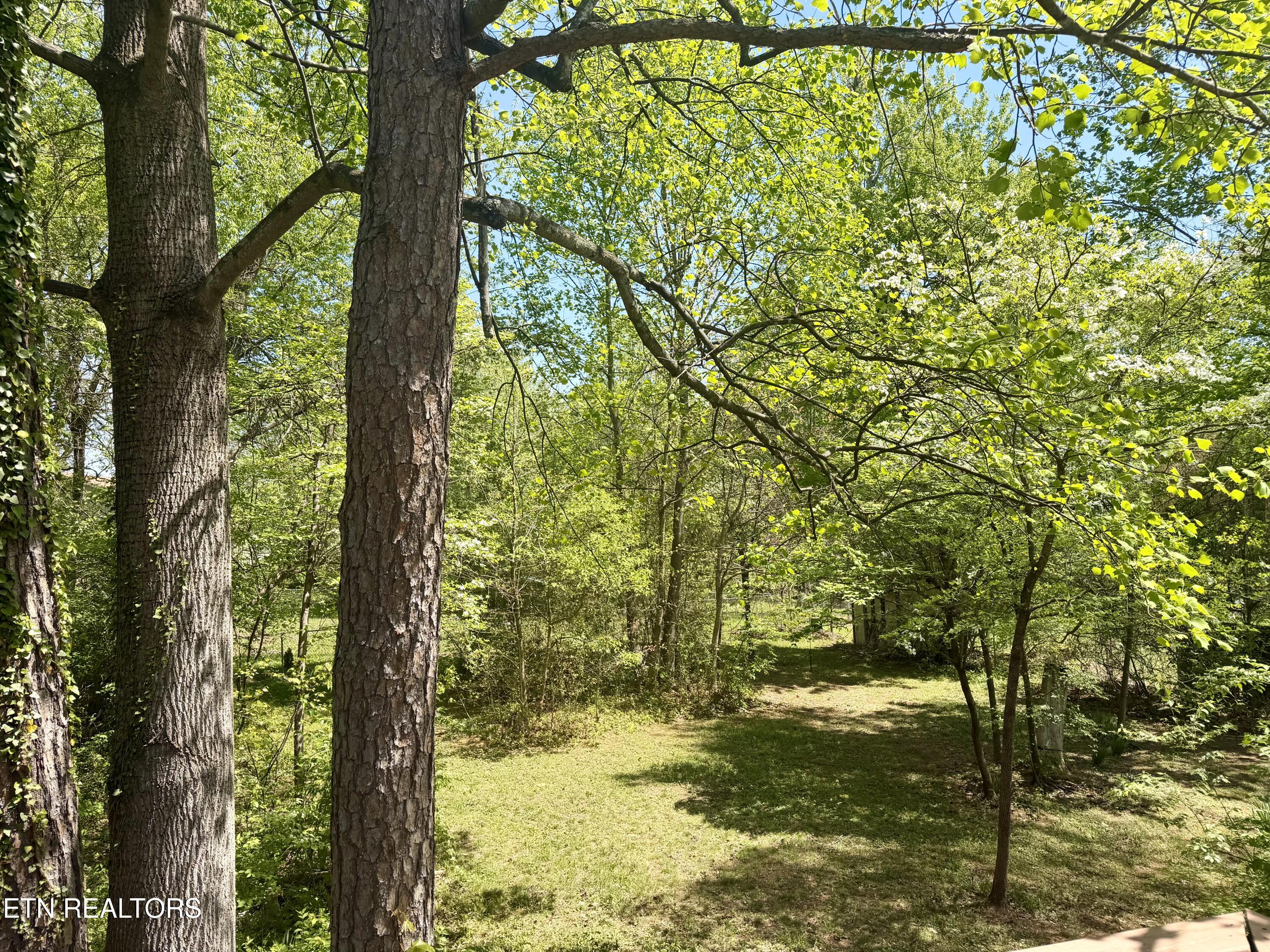 5613 Outer Drive Knoxville TN 37921