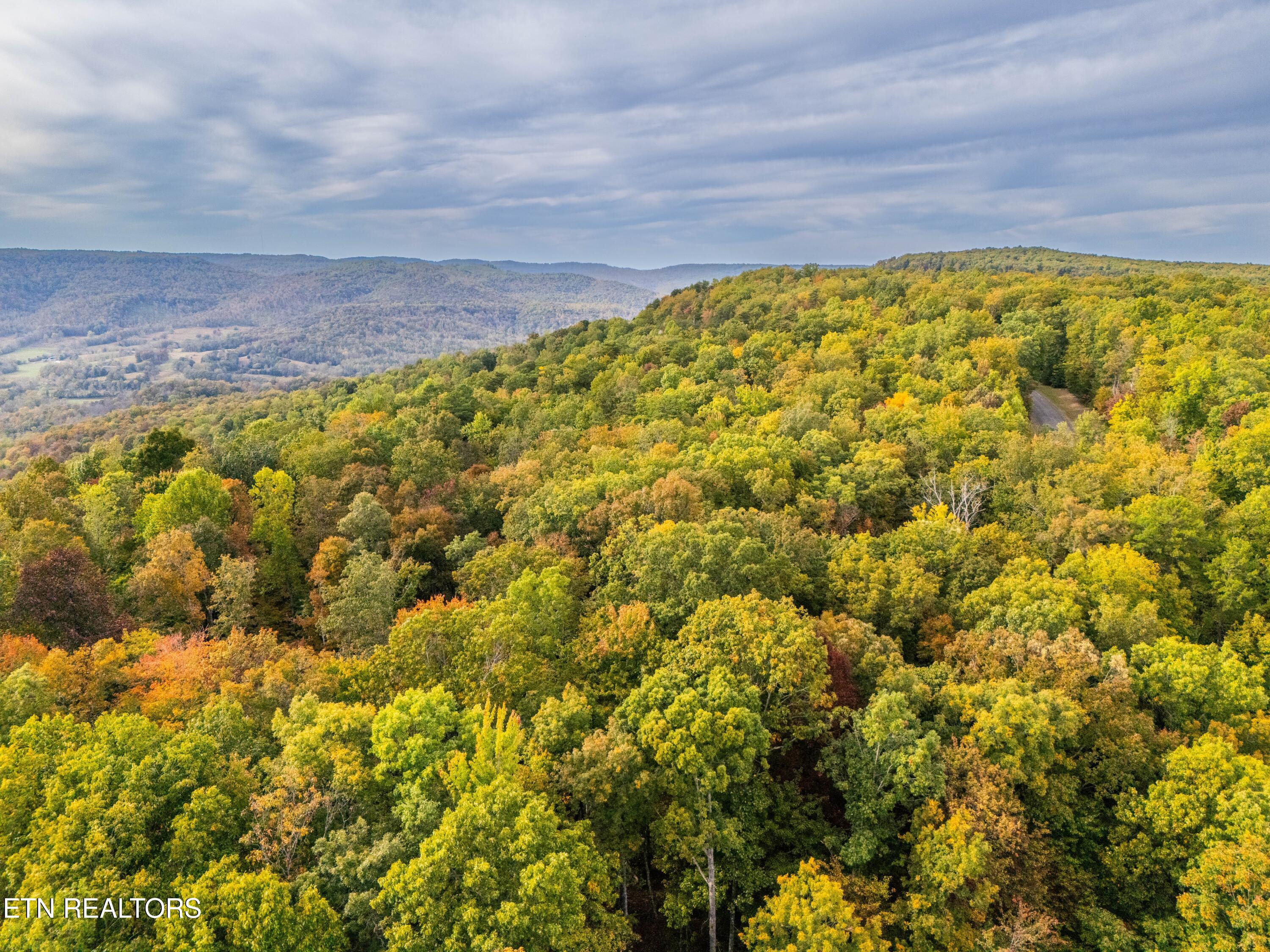 93 Westridge Trail Monterey TN 38574