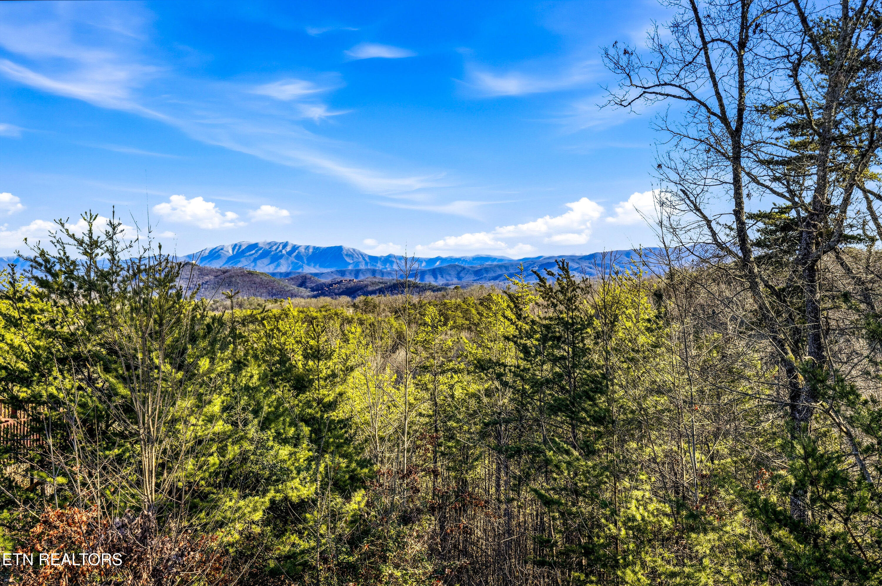 1713 Bear View Road Sevierville TN 37876