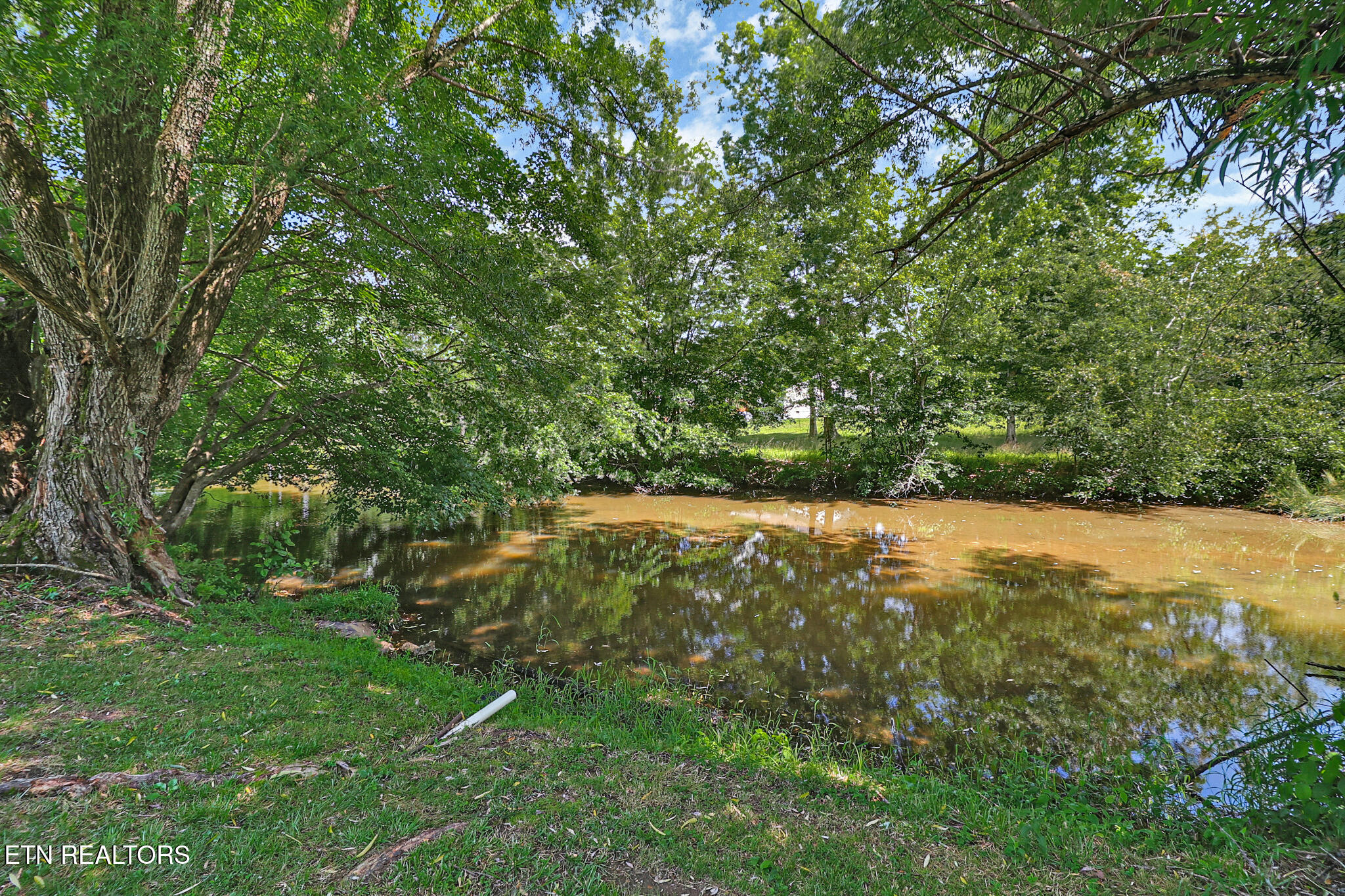 4028 Lone Wolf Circle Crossville TN 38572