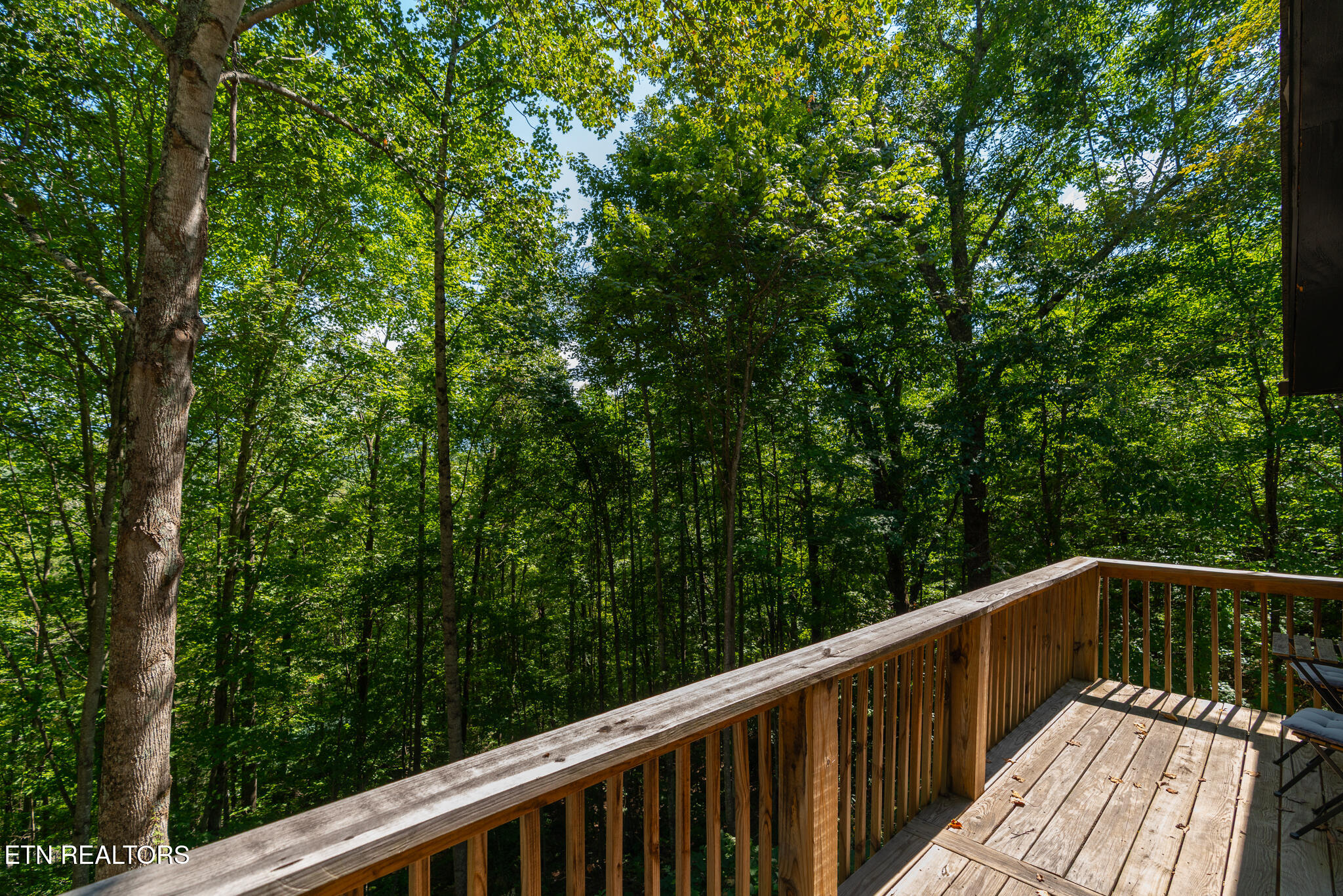 459 Sugar Mountain Way Pigeon Forge TN 37863