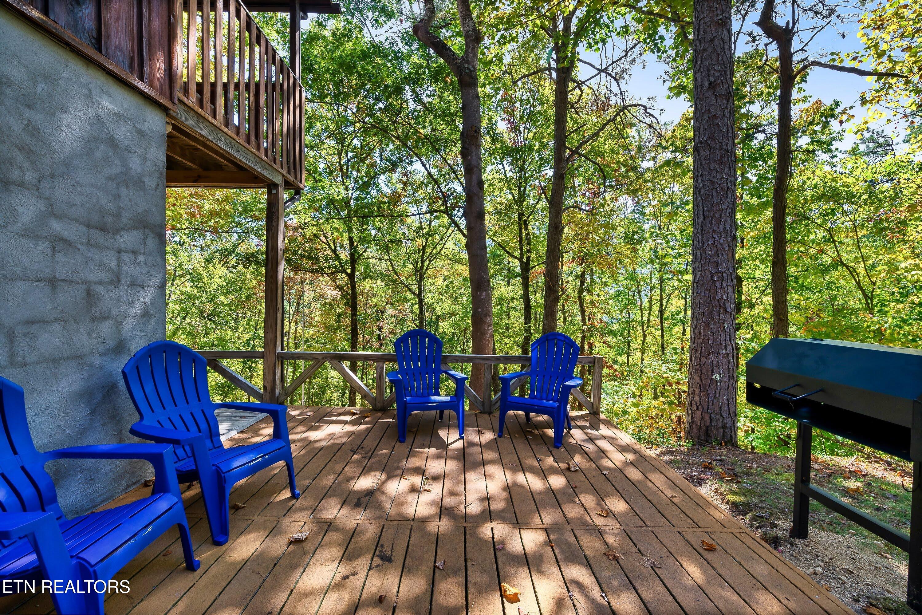 2951 Patty View Way Sevierville TN 37862