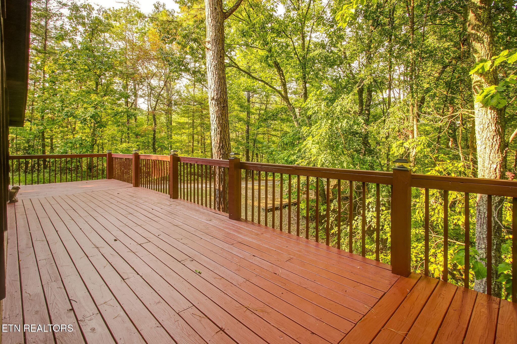 4224 Chamberlain Lane Sevierville TN 37862
