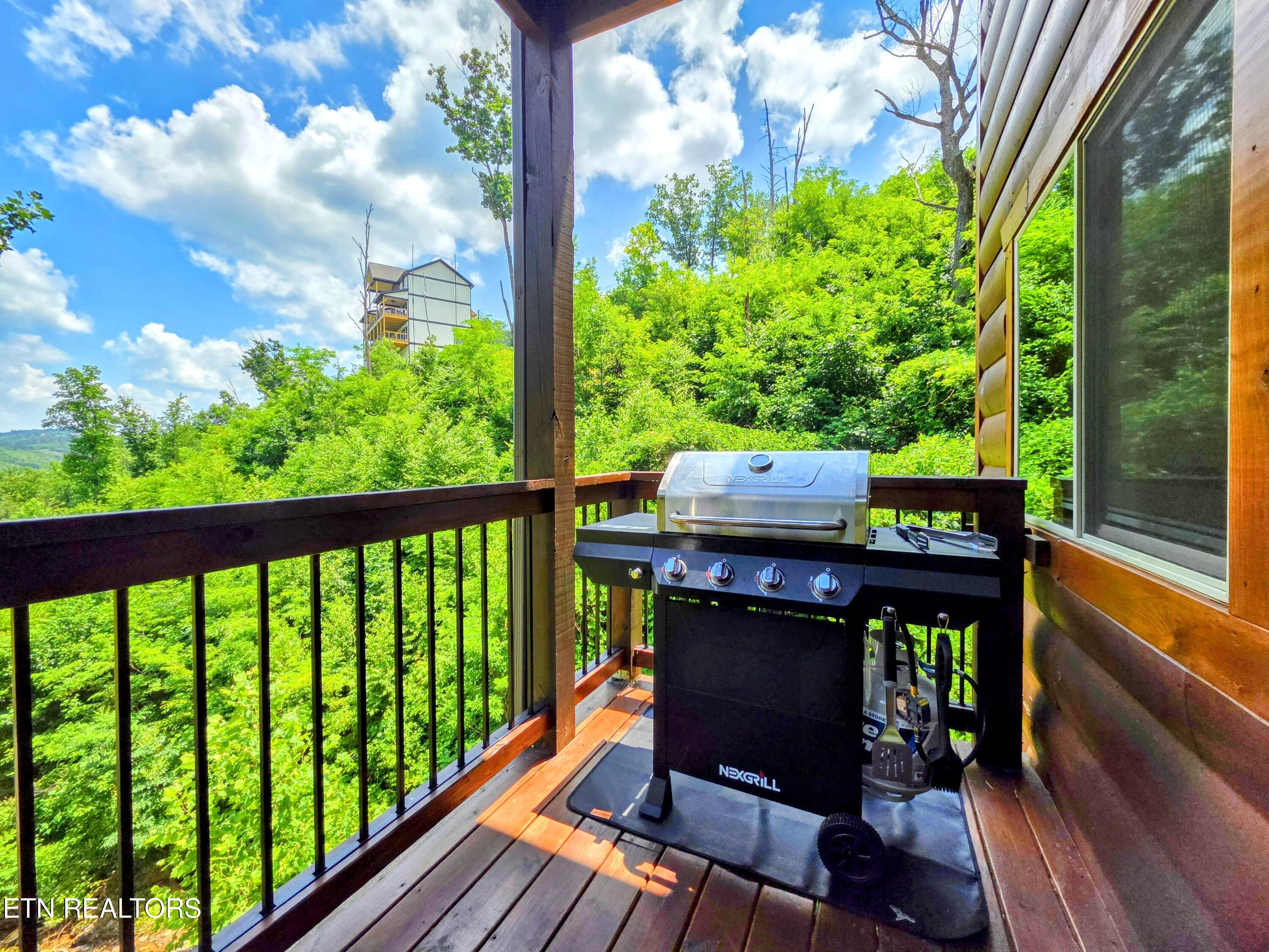 367 Wiley Oakley Drive Gatlinburg TN 37738