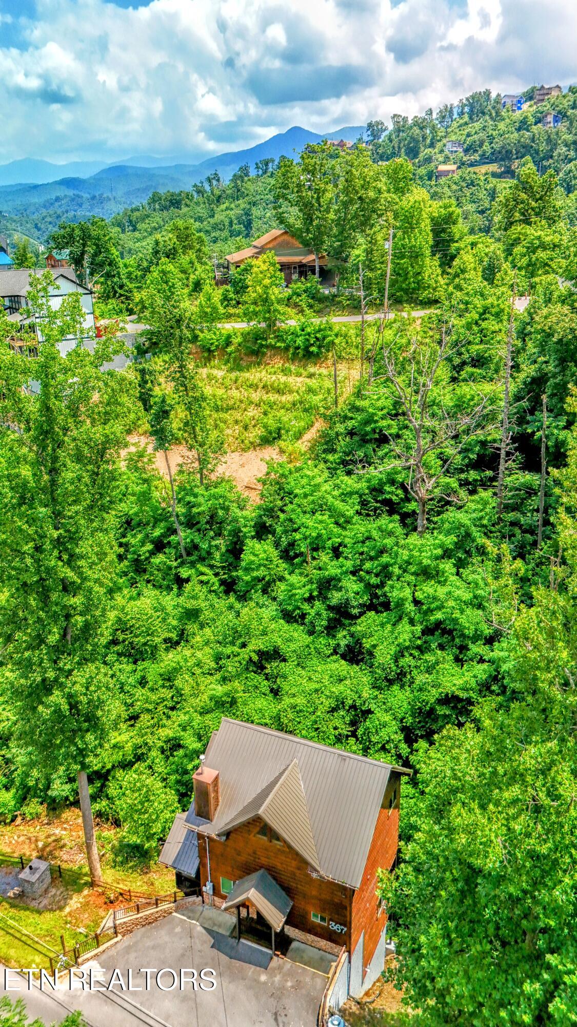 367 Wiley Oakley Drive Gatlinburg TN 37738