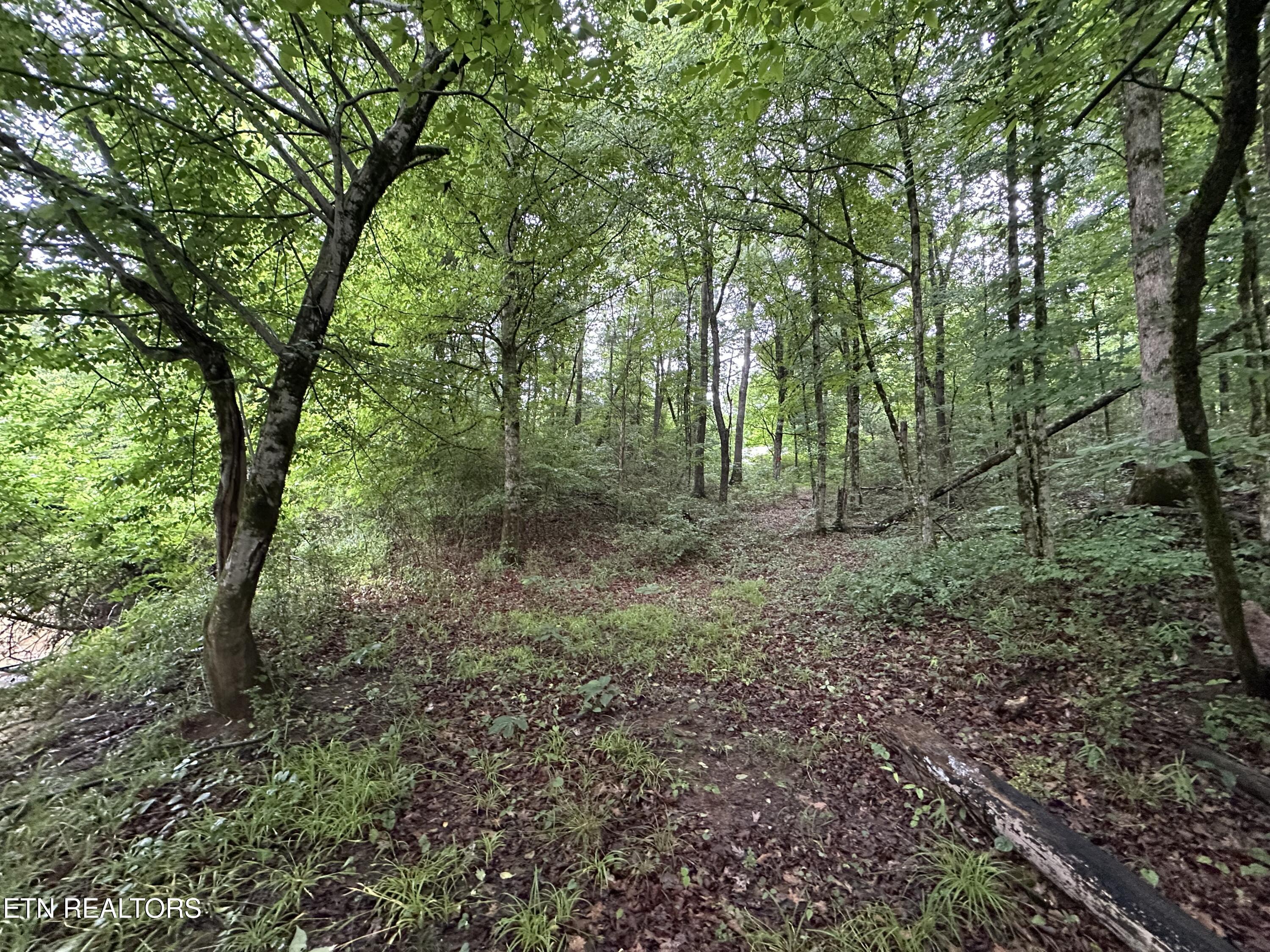 310 County Road 616 Athens TN 37303