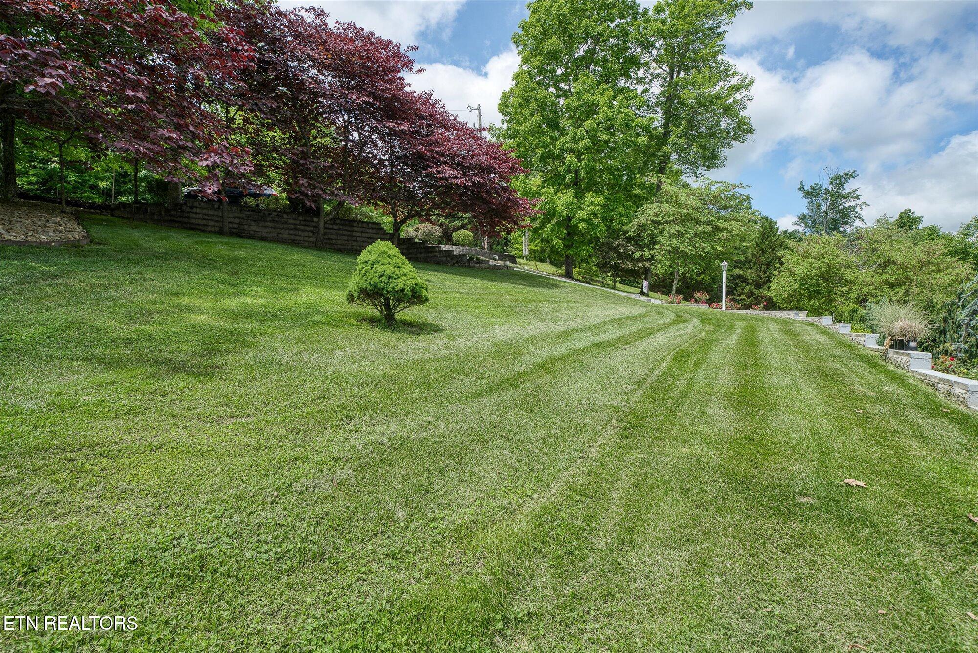 145 Pineridge Loop Crossville TN 38558