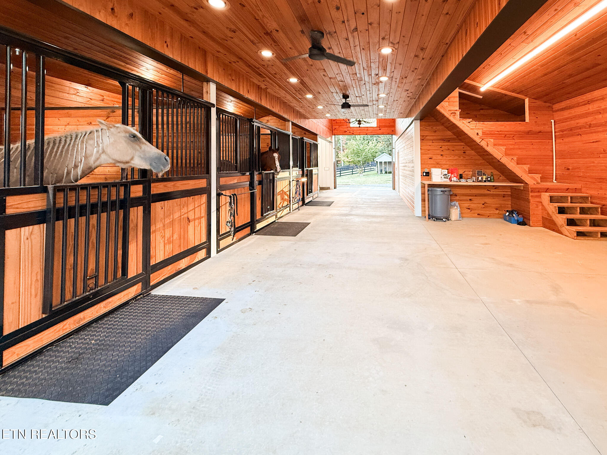 1834 Turkey Pen Lane Lenoir City TN 37772