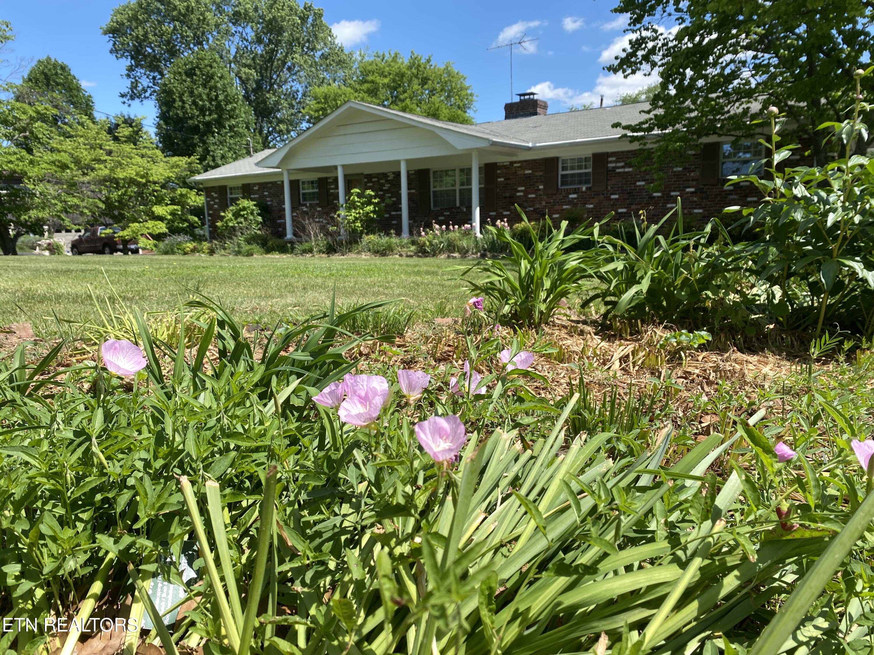 415 Barberry Drive Knoxville TN 37912