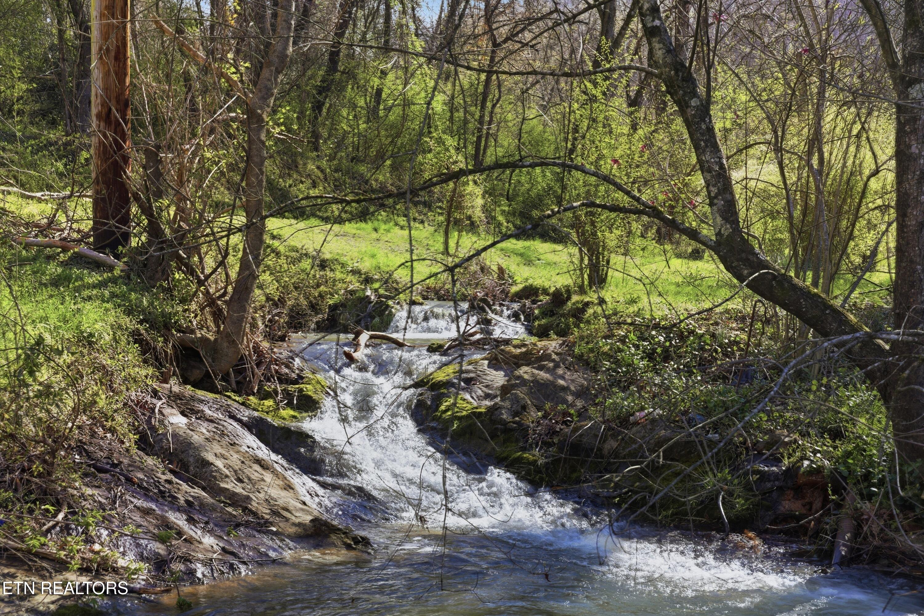 168 Childs Road Harriman TN 37748
