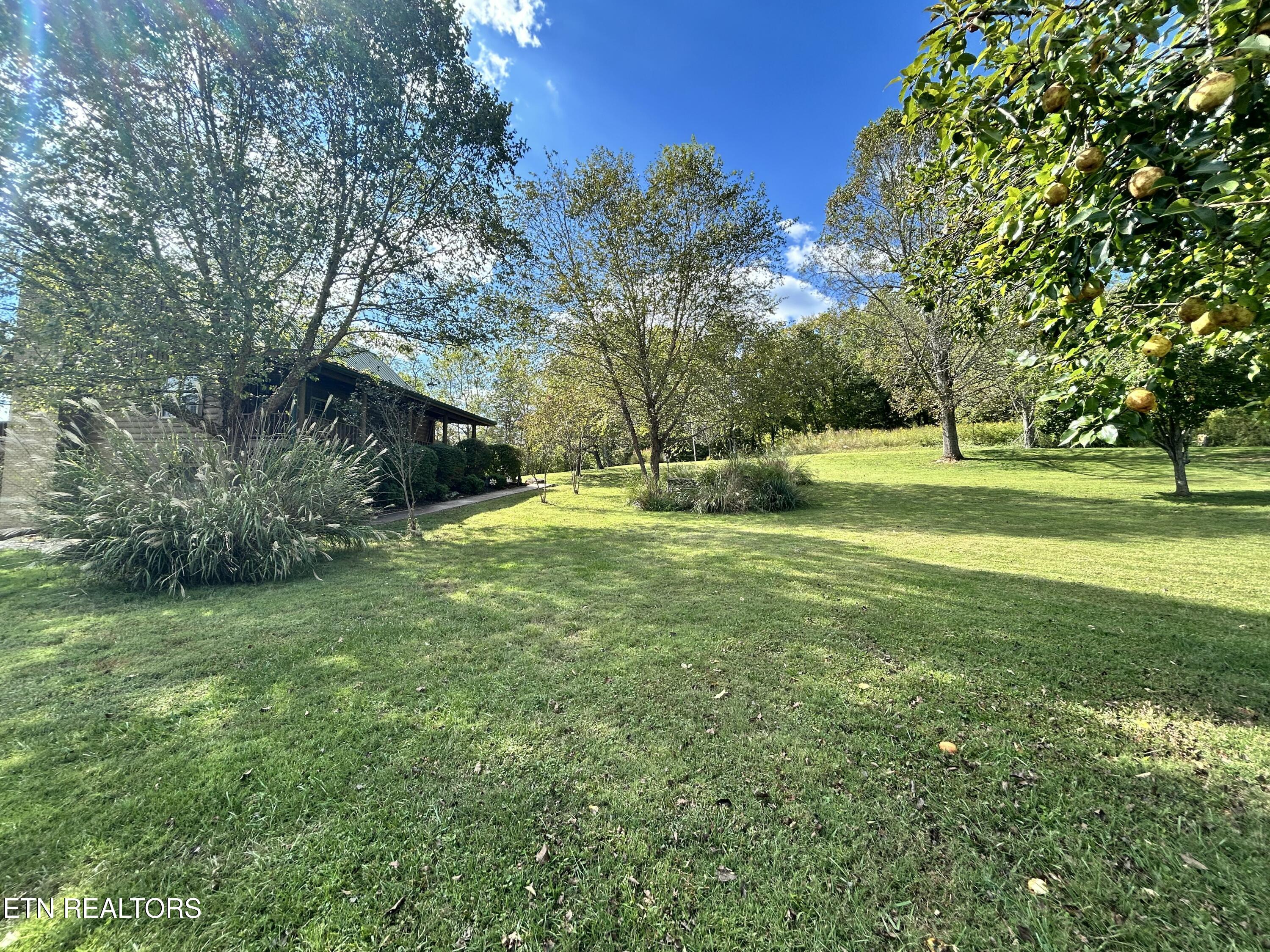 466 Greene Lane Lafollette TN 37766