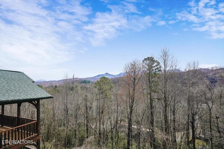 832 Resort Way Gatlinburg TN 37738