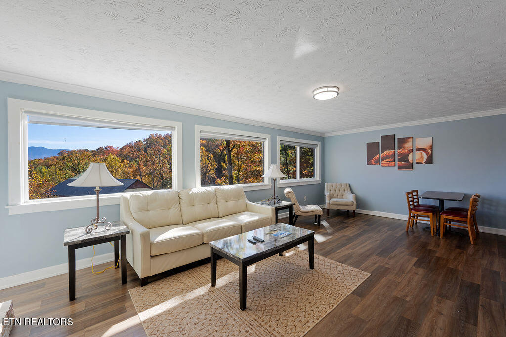 1106 Tanrac Trail Gatlinburg TN 37738