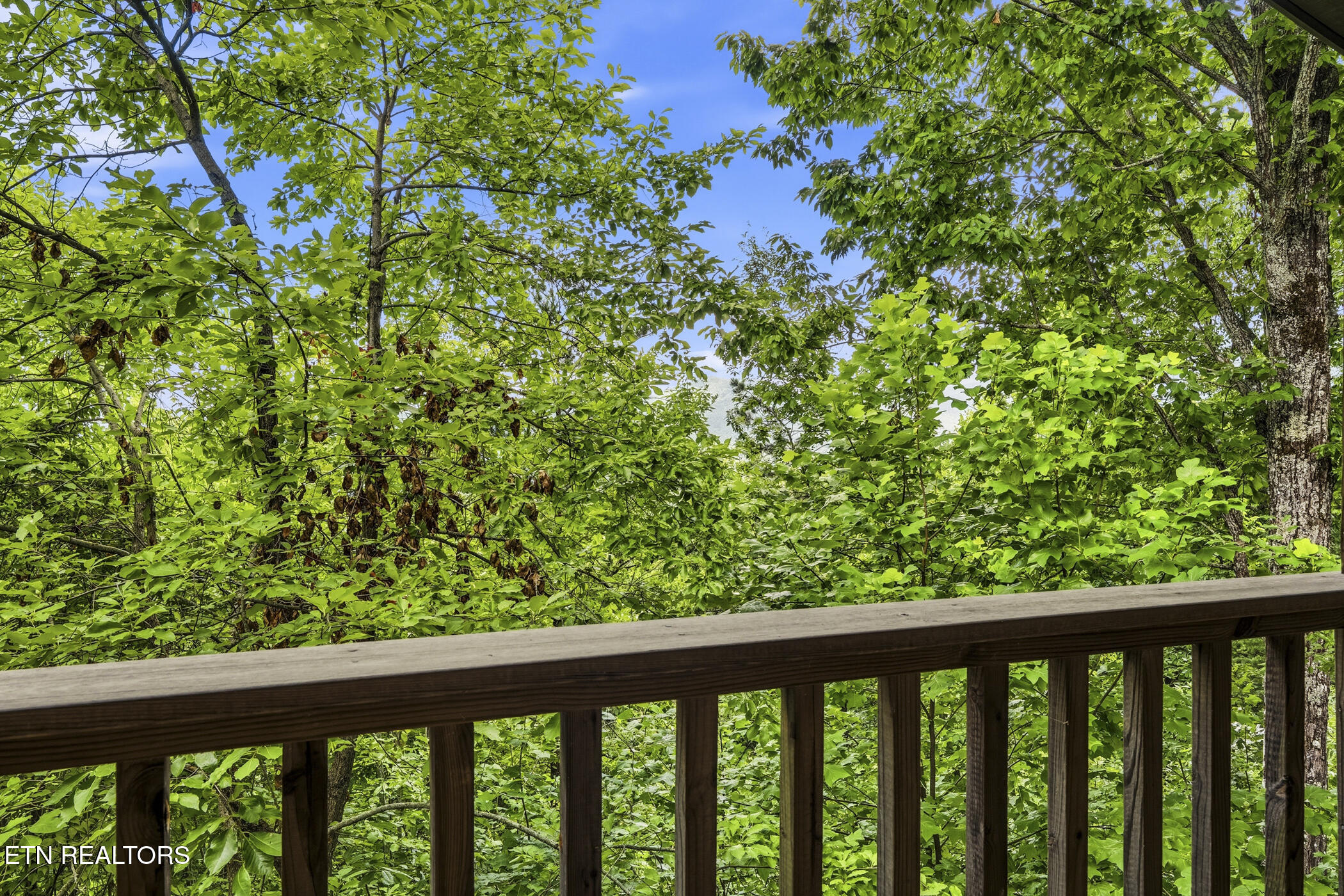 1889 Natures Lane Sevierville TN 37862