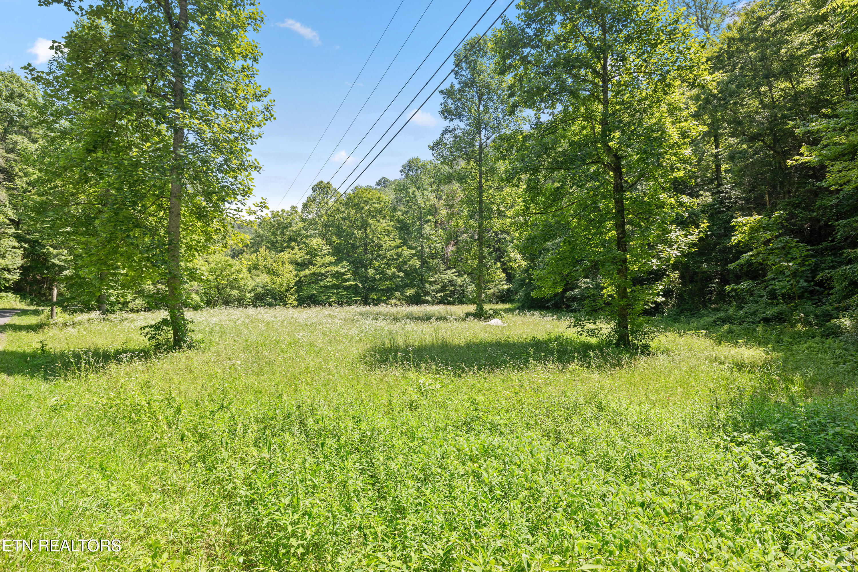 449 Carpenter Road Mooresburg TN 37811