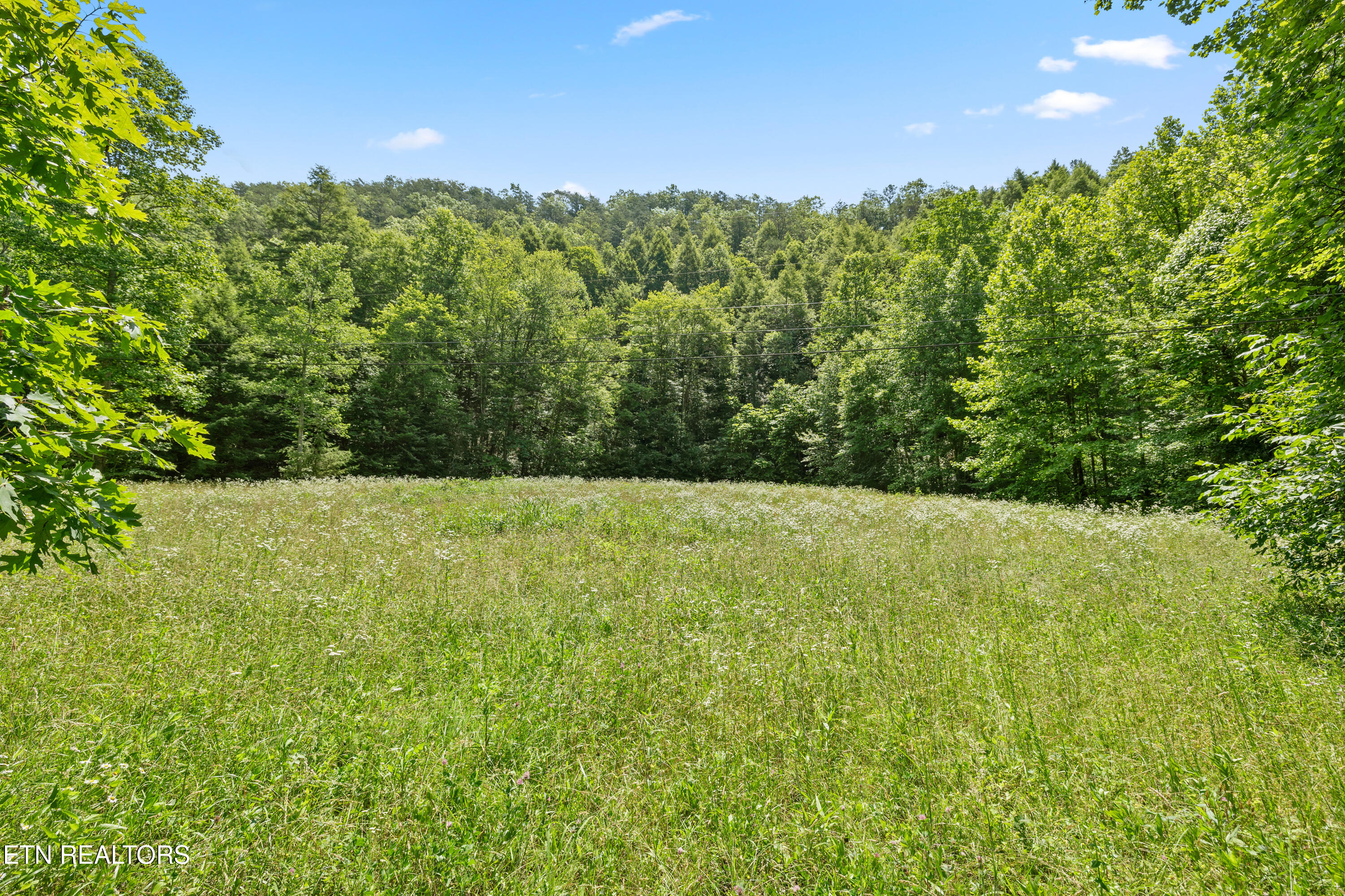 449 Carpenter Road Mooresburg TN 37811