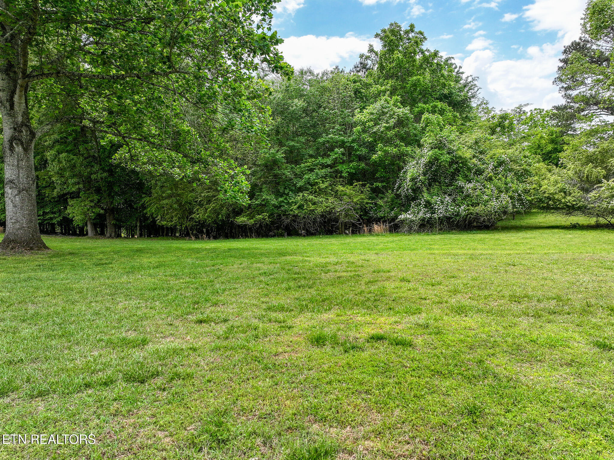 1475 Old Chisholm Trail Dandridge TN 37725
