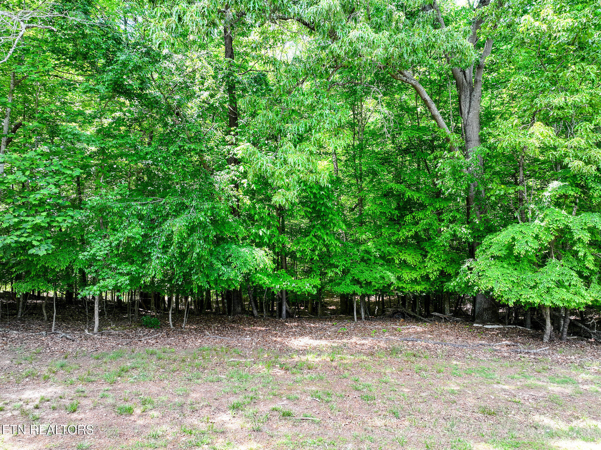 1475 Old Chisholm Trail Dandridge TN 37725