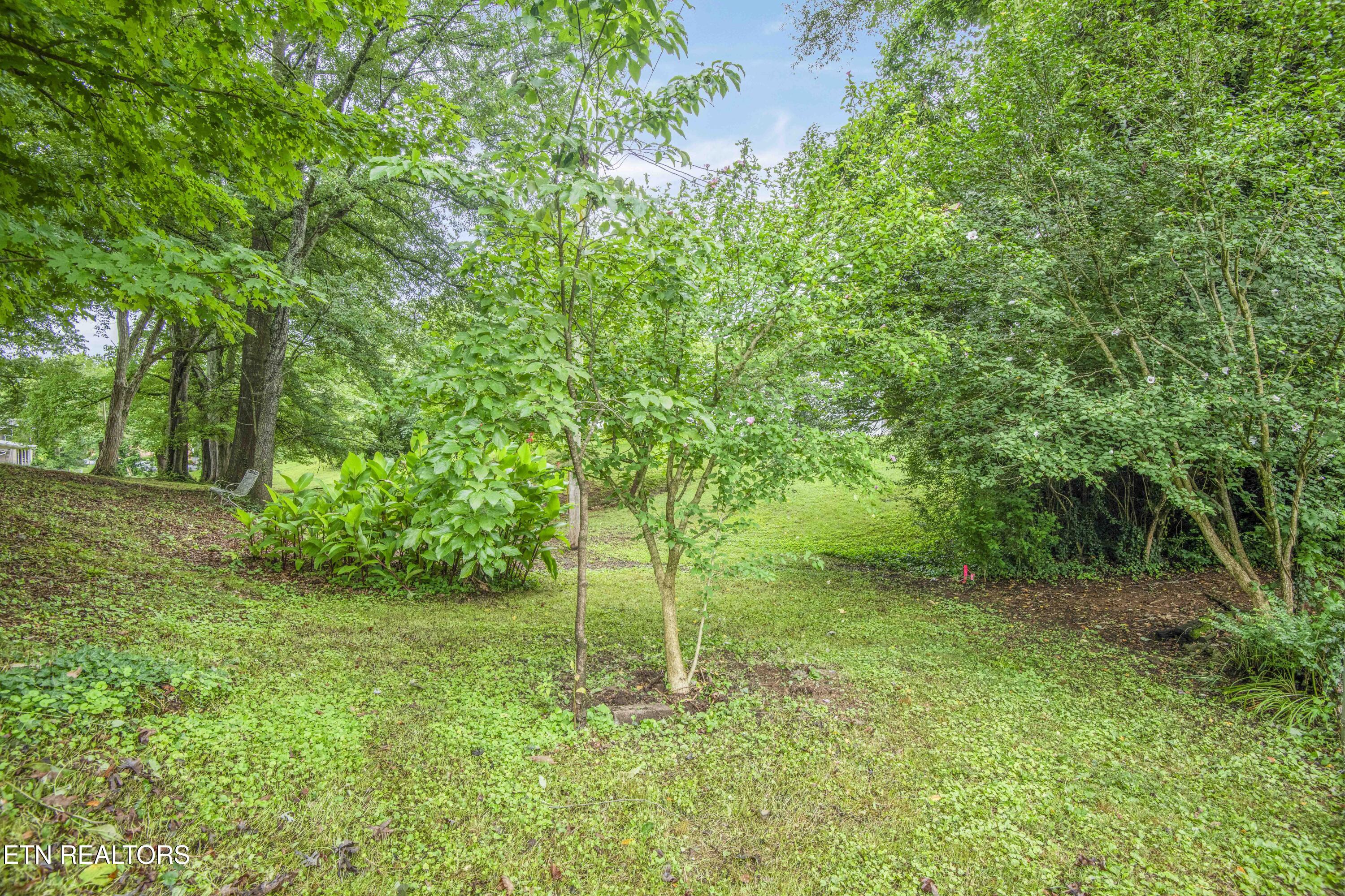 501 Oran Zirkle Road Kingston TN 37763