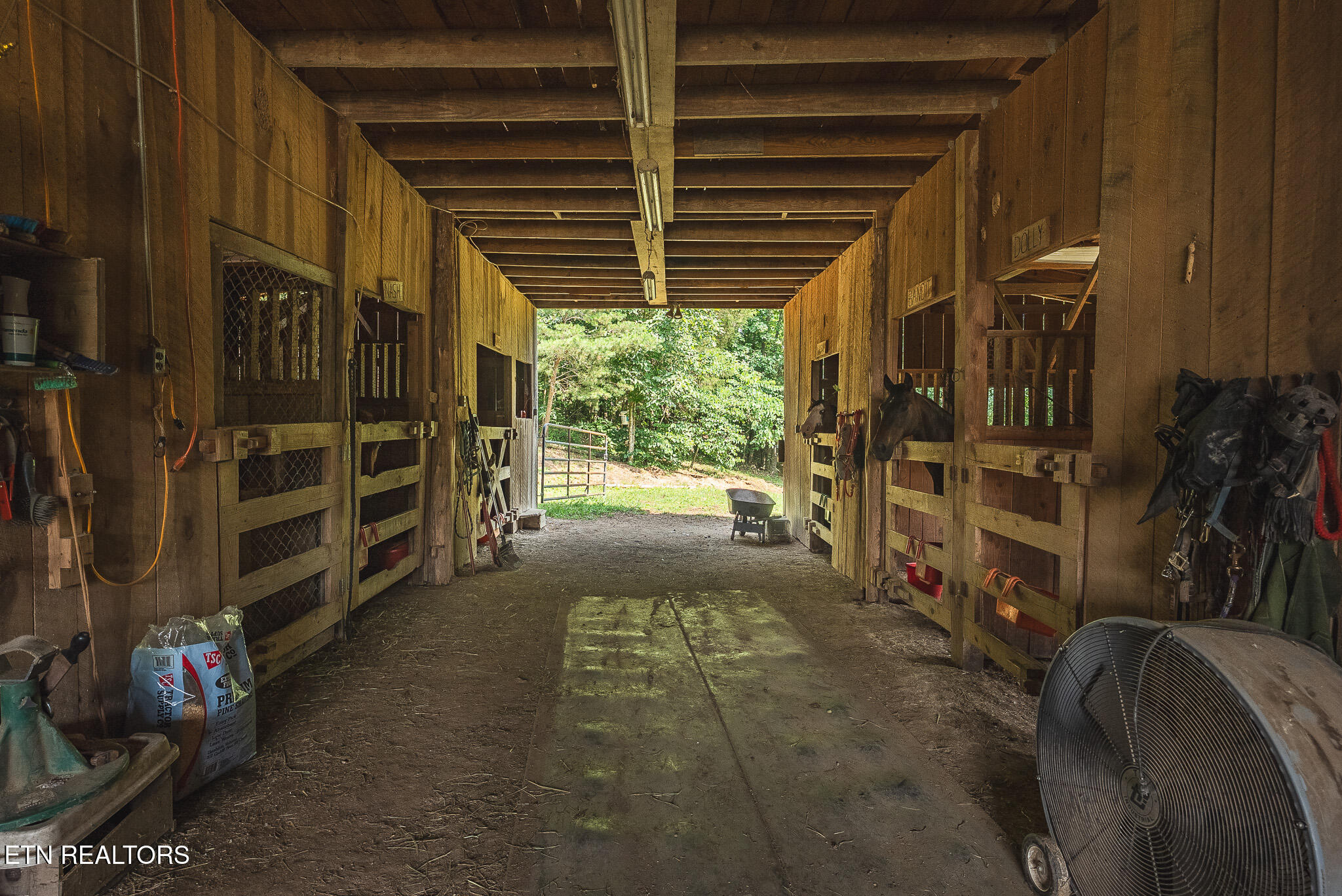 1550 Geranium Way Parrottsville TN 37843