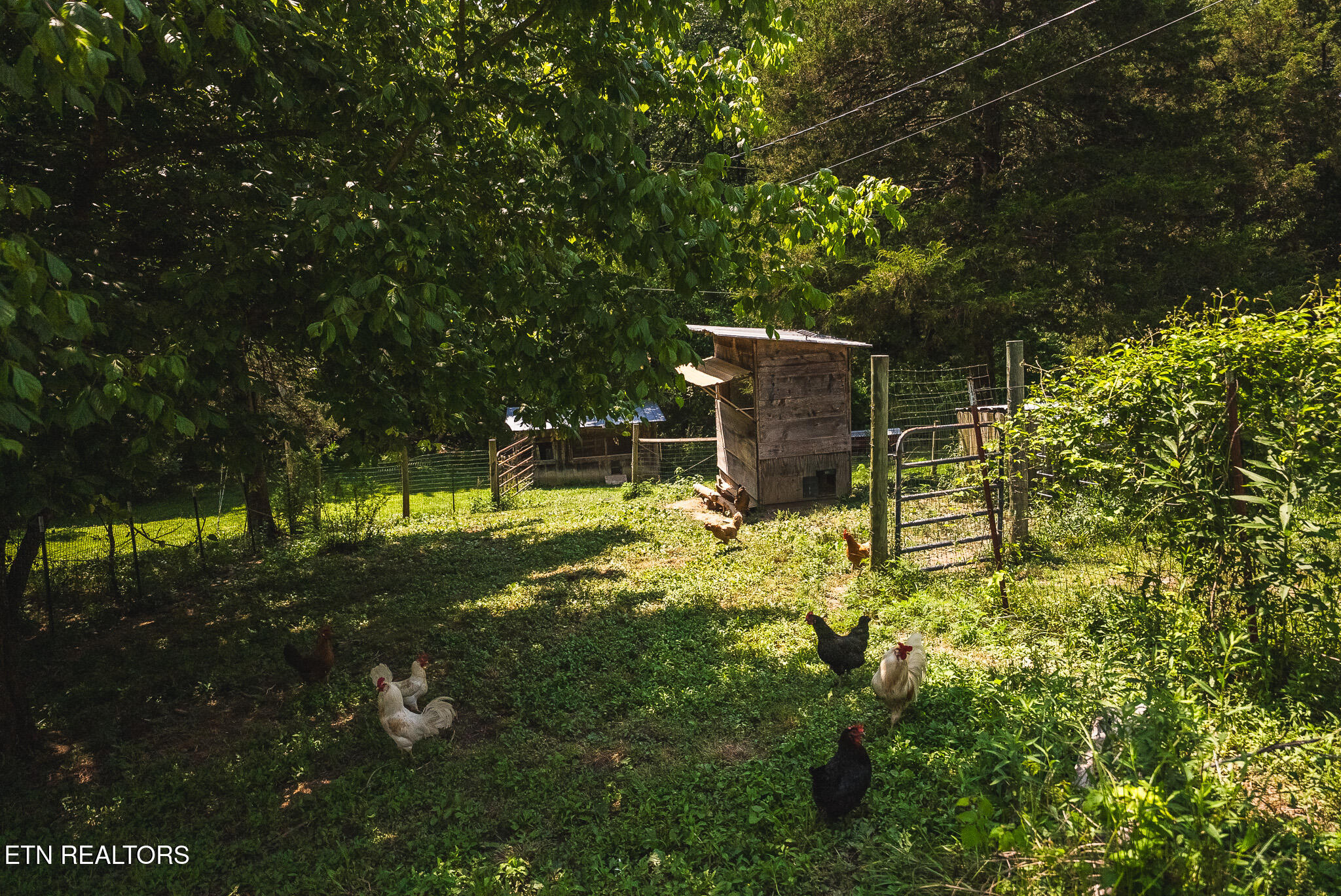 1550 Geranium Way Parrottsville TN 37843