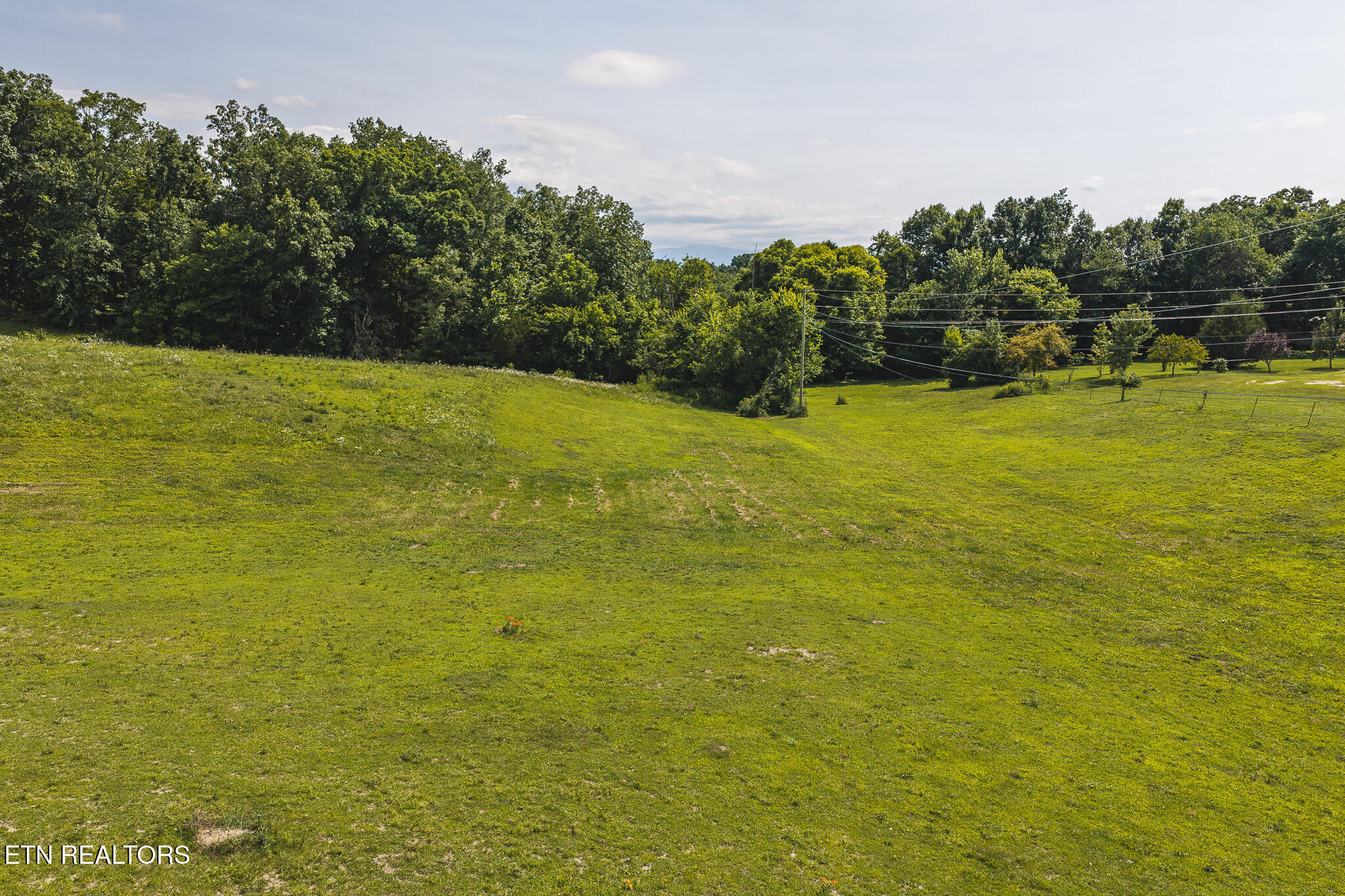 1550 Geranium Way Parrottsville TN 37843
