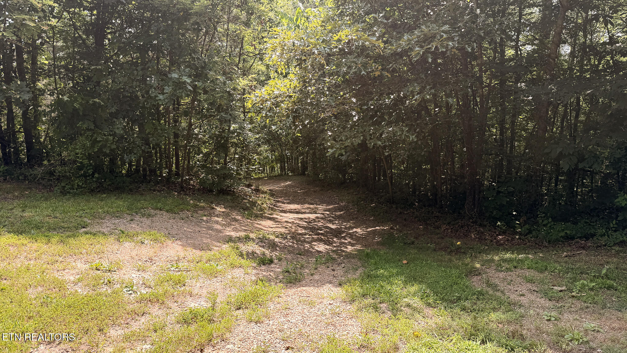 1550 Geranium Way Parrottsville TN 37843