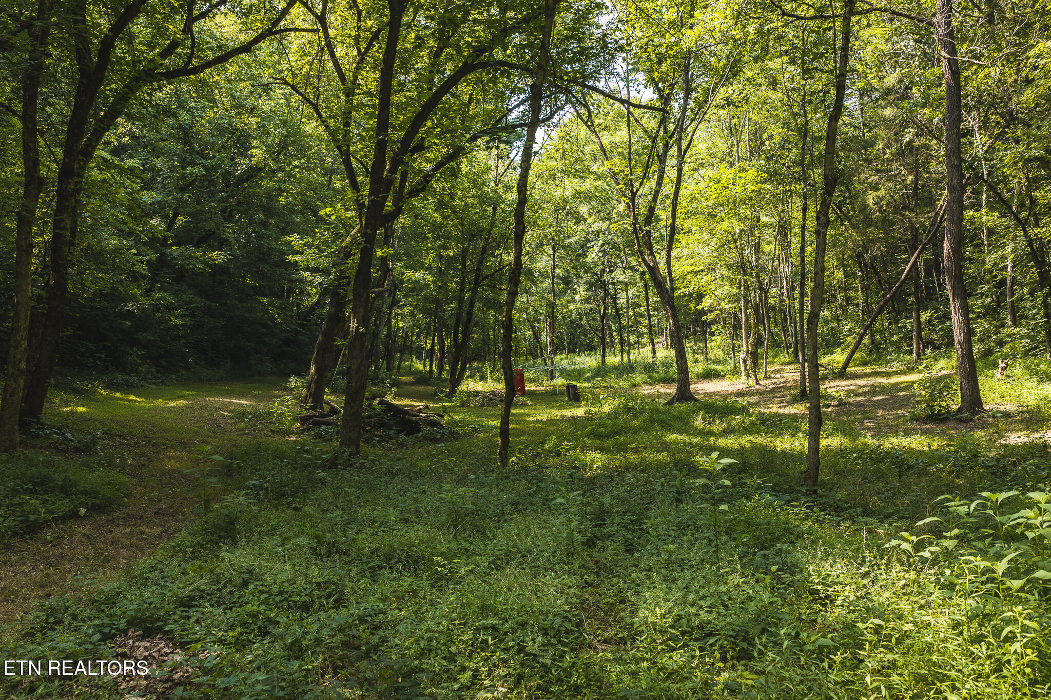 1550 Geranium Way Parrottsville TN 37843