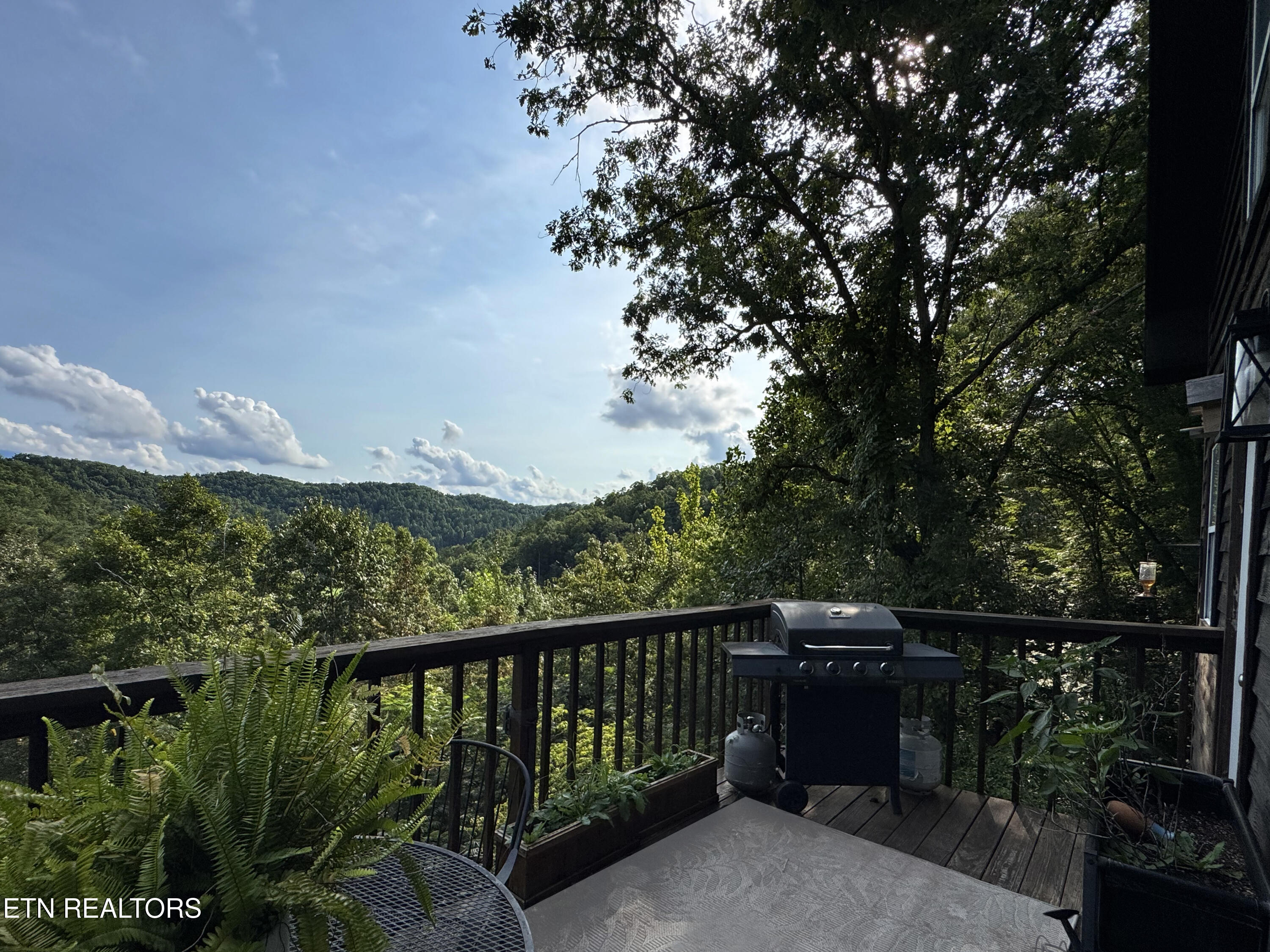 3514 Emerald Way Sevierville TN 37876