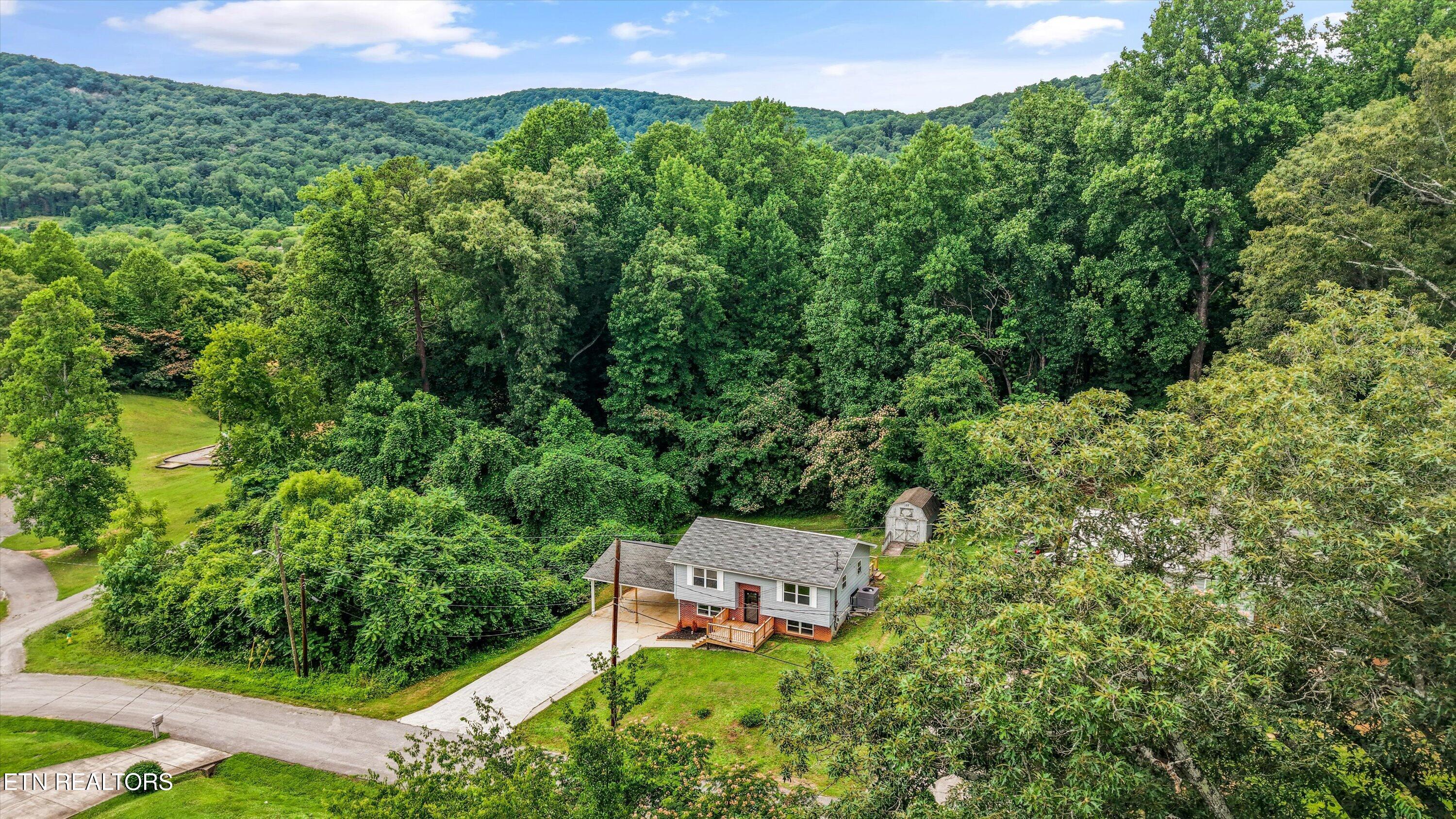 503 M.l.k. Jr. Drive Rockwood TN 37854