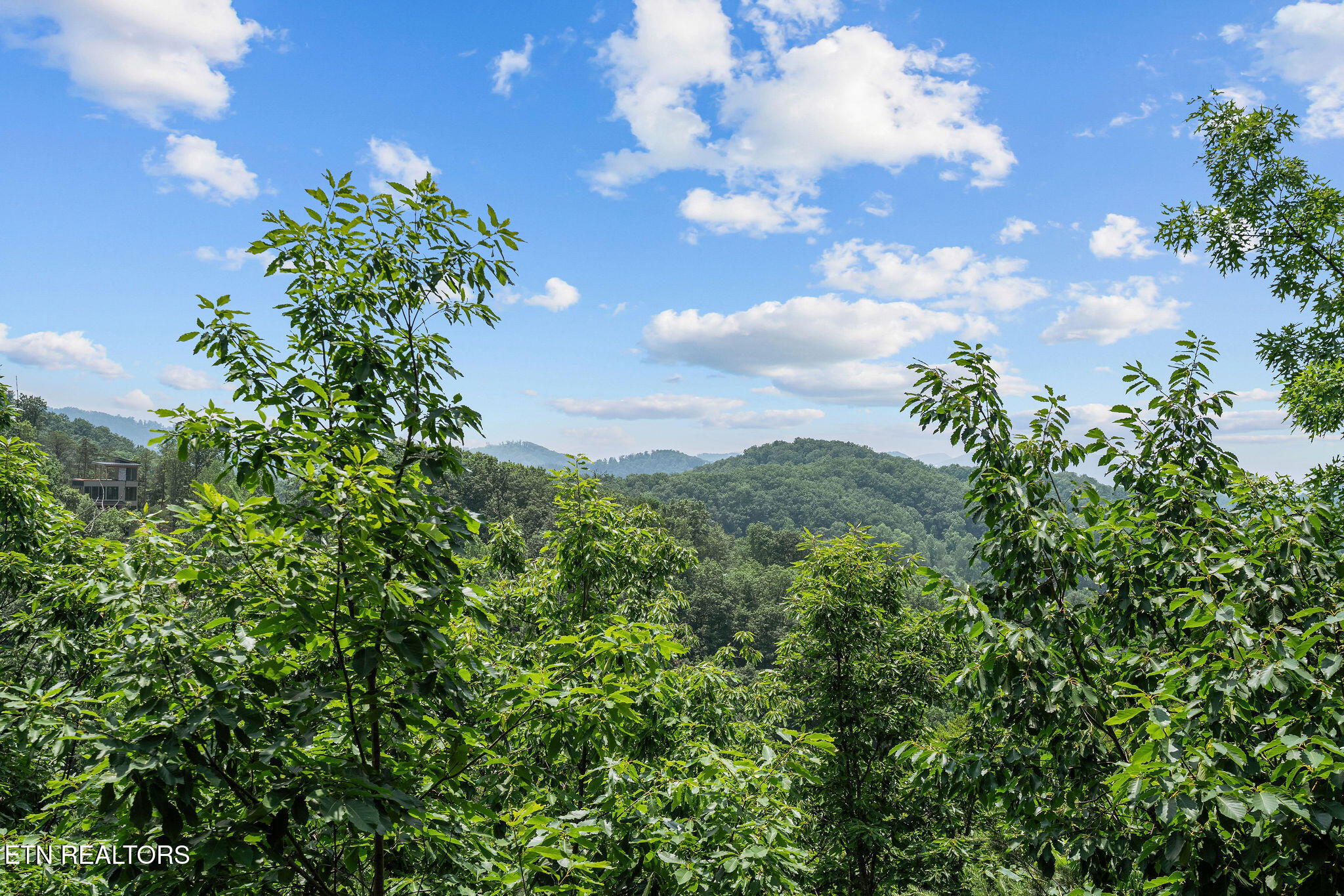 928 Falcon View Way Sevierville TN 37862