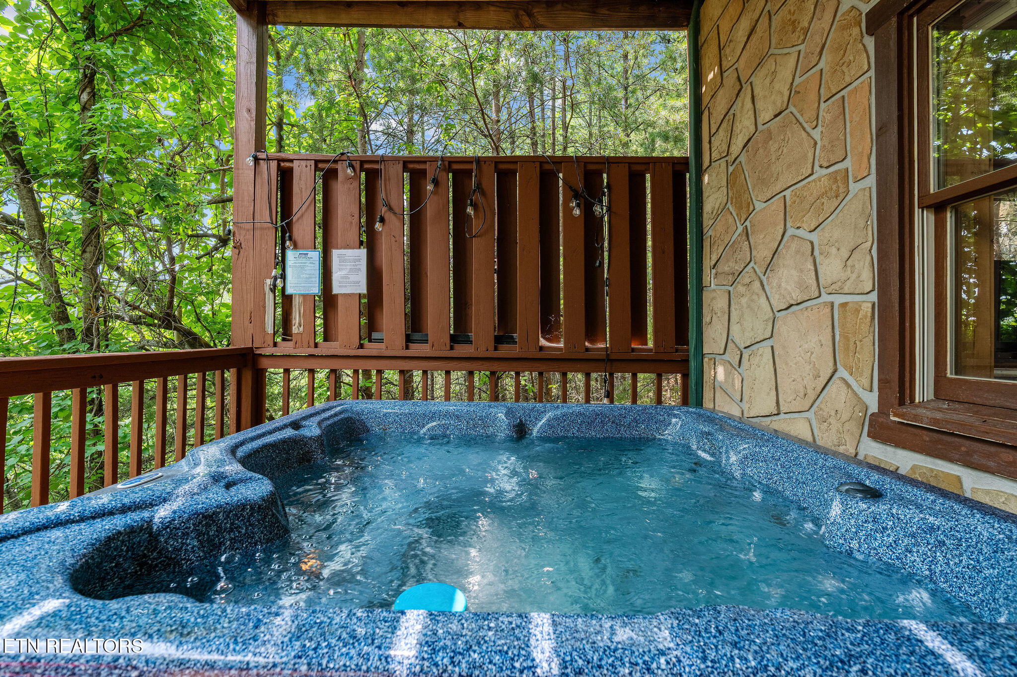 928 Falcon View Way Sevierville TN 37862