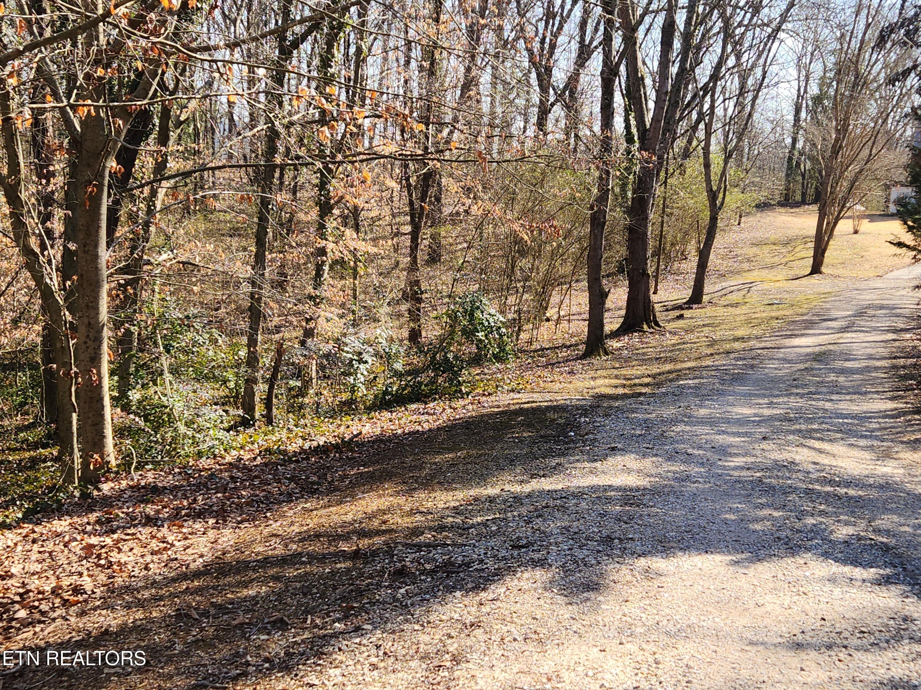 1506 Ridgeway Circle Athens TN 37303