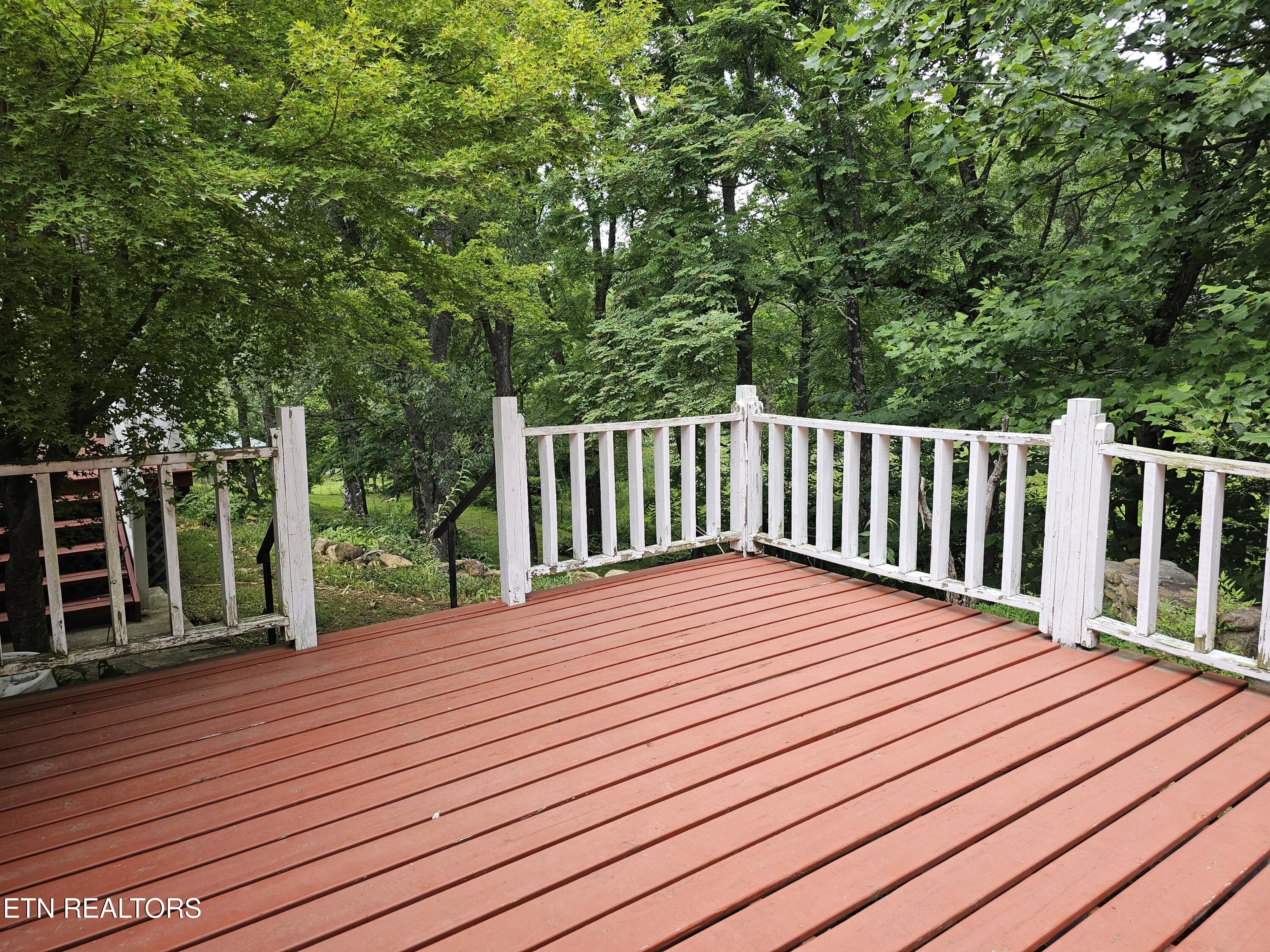 925 Tweed Springs Road Greeneville TN 37743