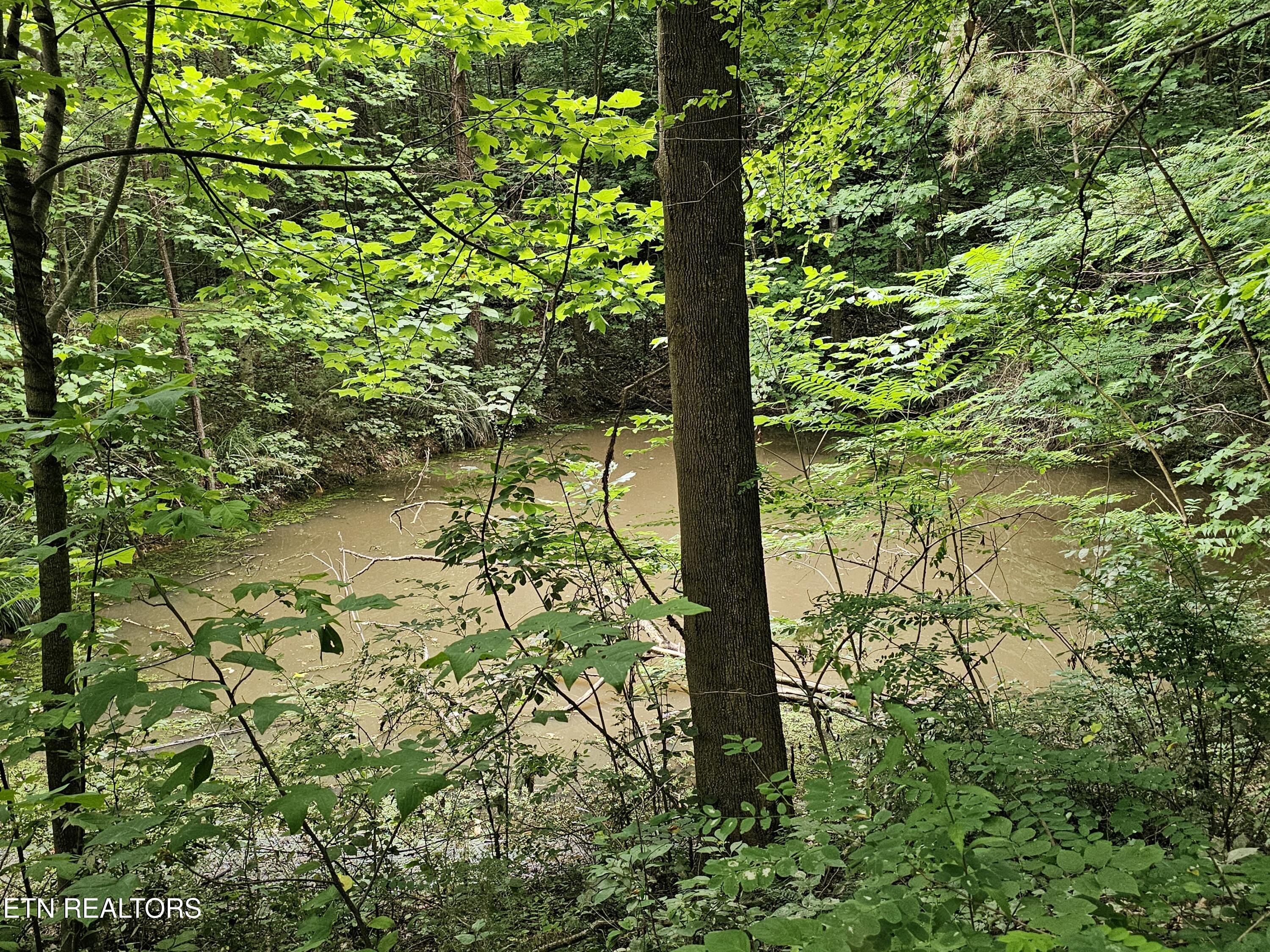 925 Tweed Springs Road Greeneville TN 37743