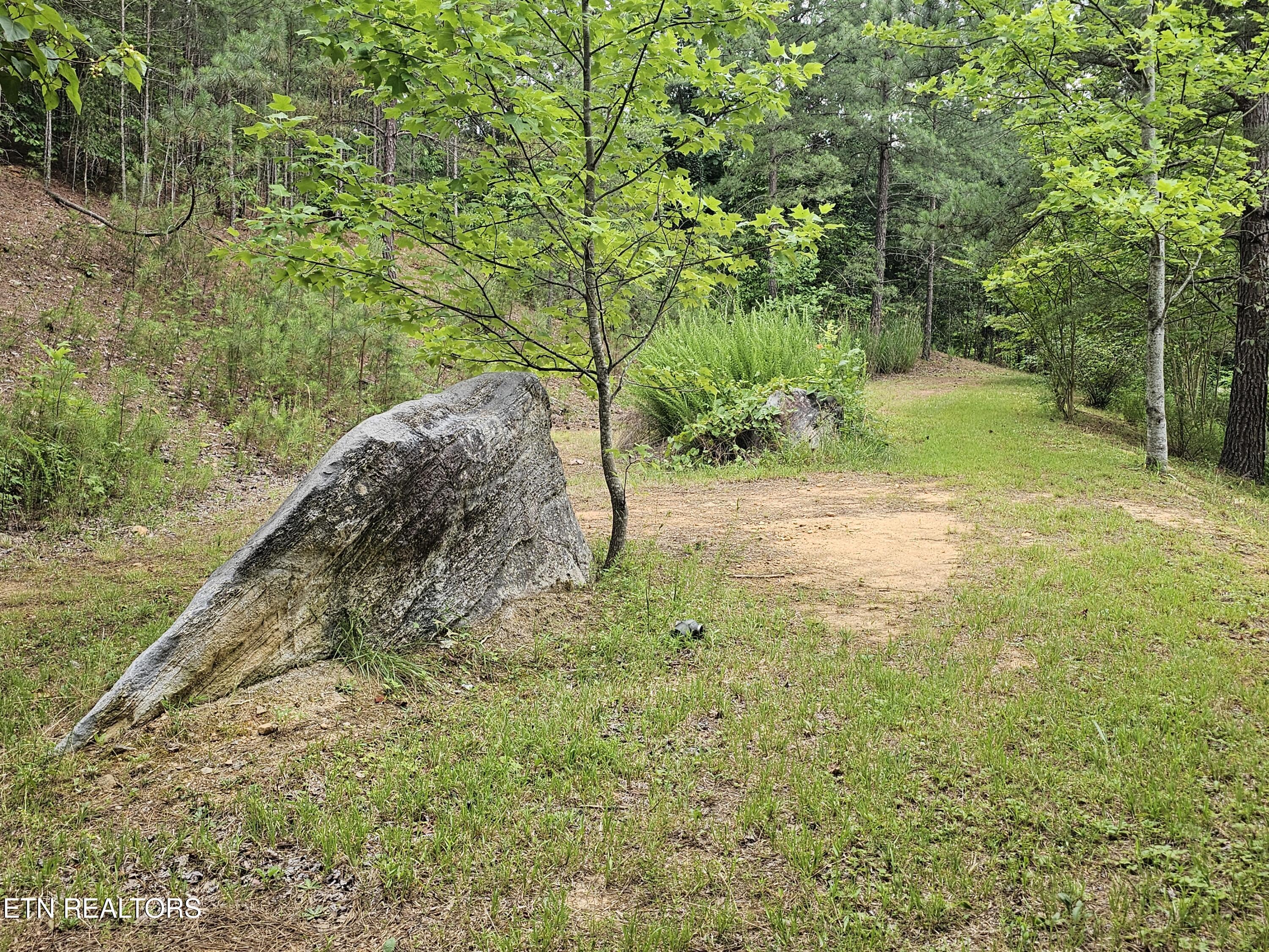 925 Tweed Springs Road Greeneville TN 37743