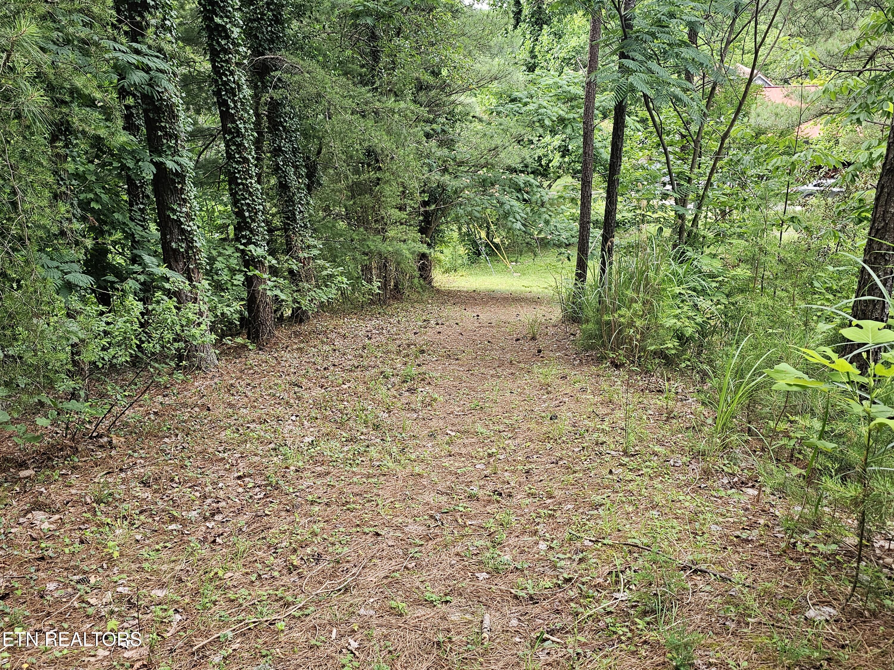 925 Tweed Springs Road Greeneville TN 37743