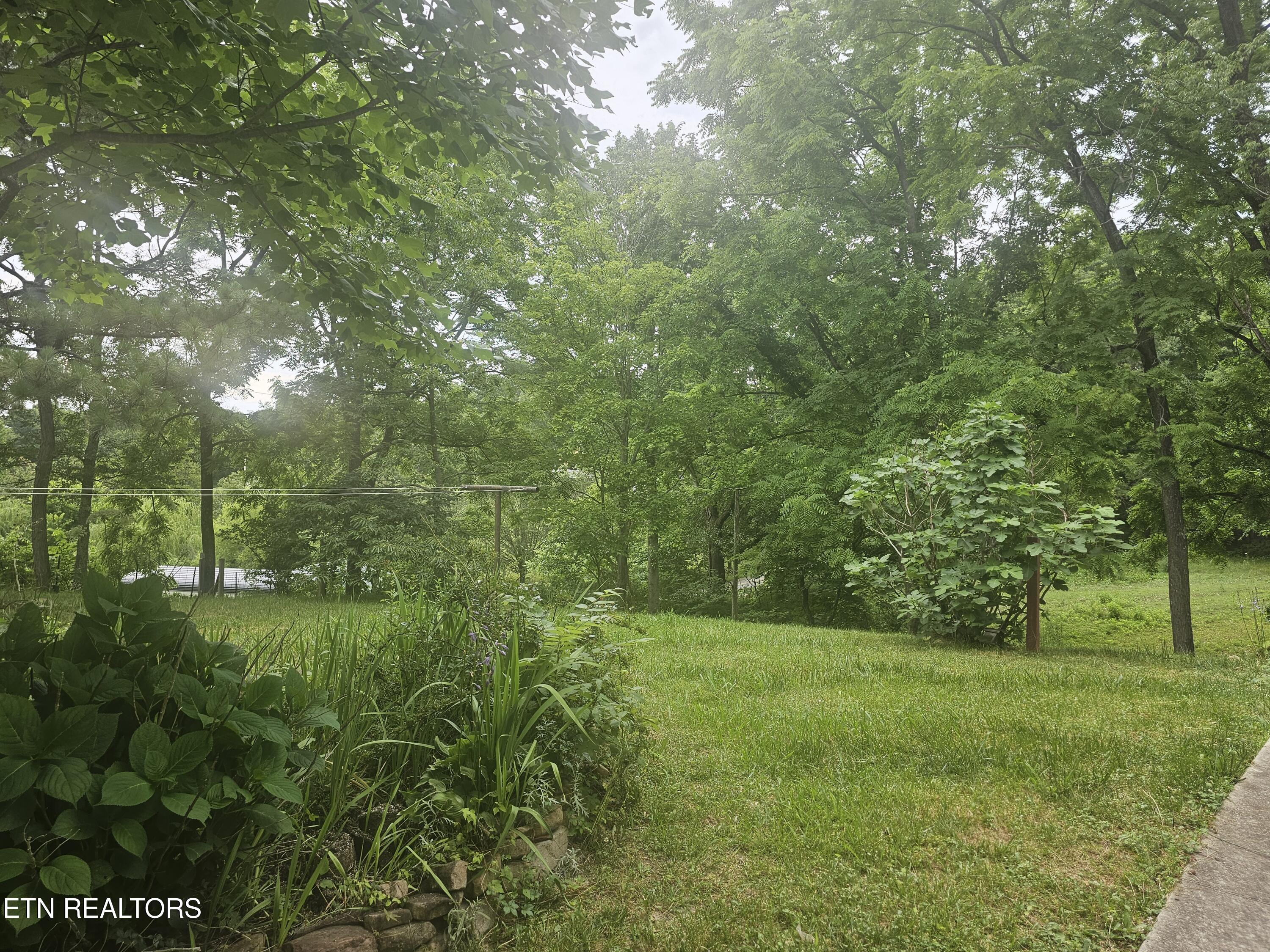 925 Tweed Springs Road Greeneville TN 37743